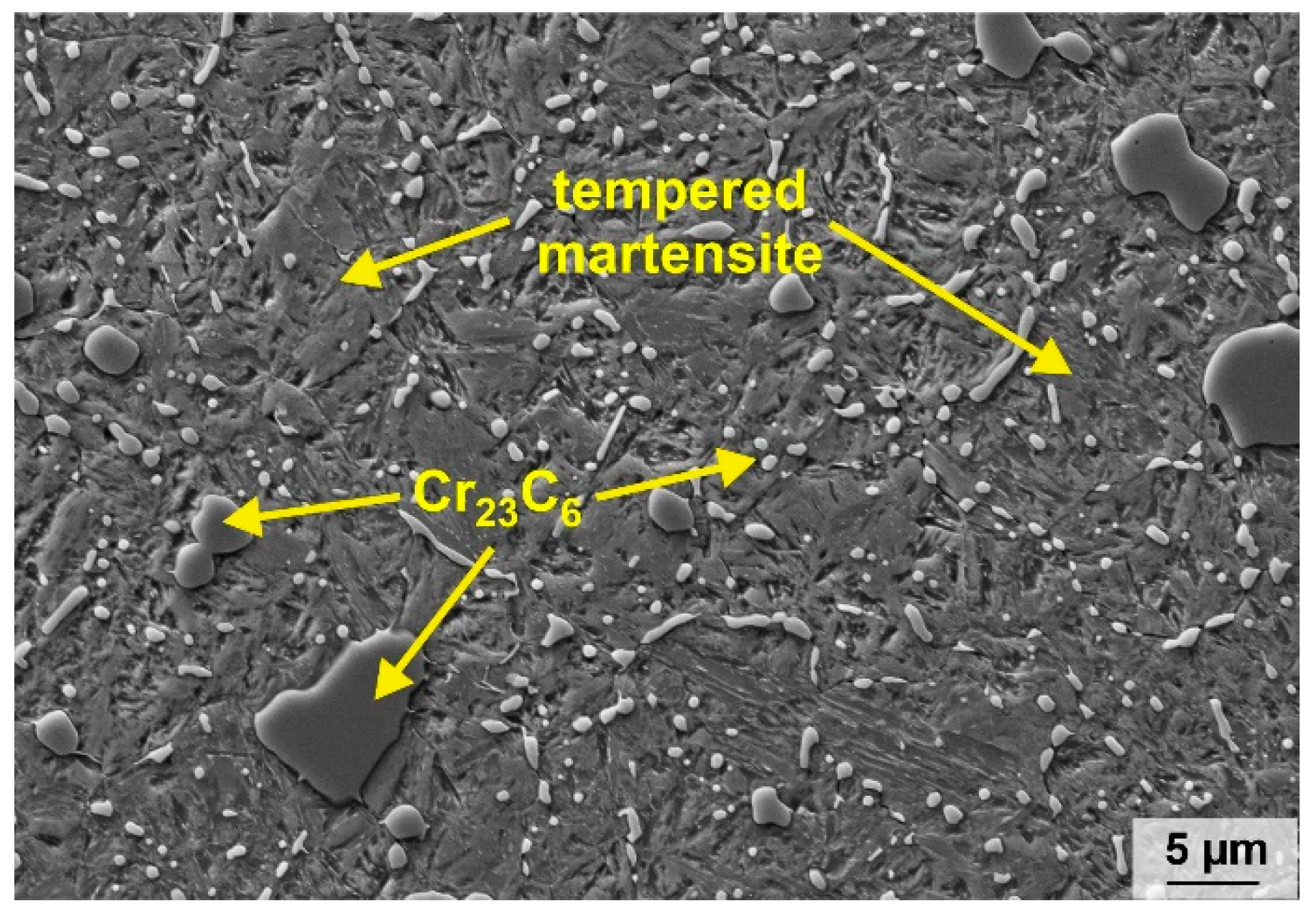 Materials 16 01941 g001