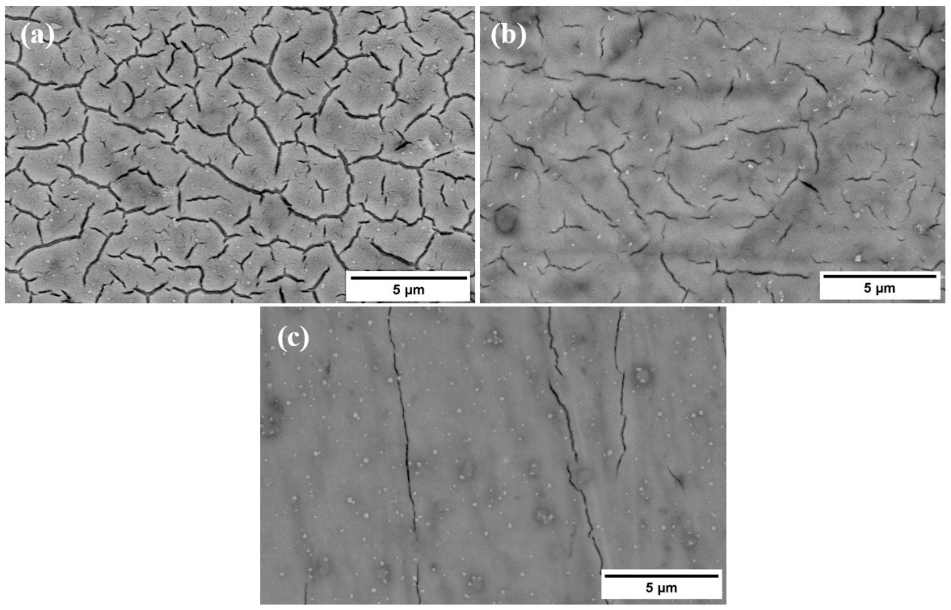 Materials 16 01943 g006 Materials 16 01943 g006