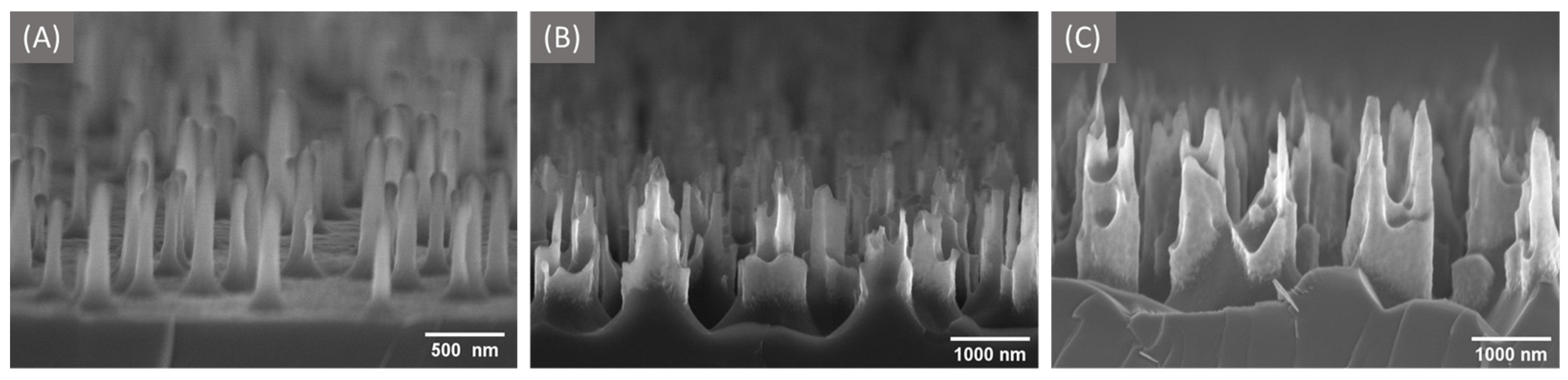Materials 16 01948 g001 Materials 16 01948 g001