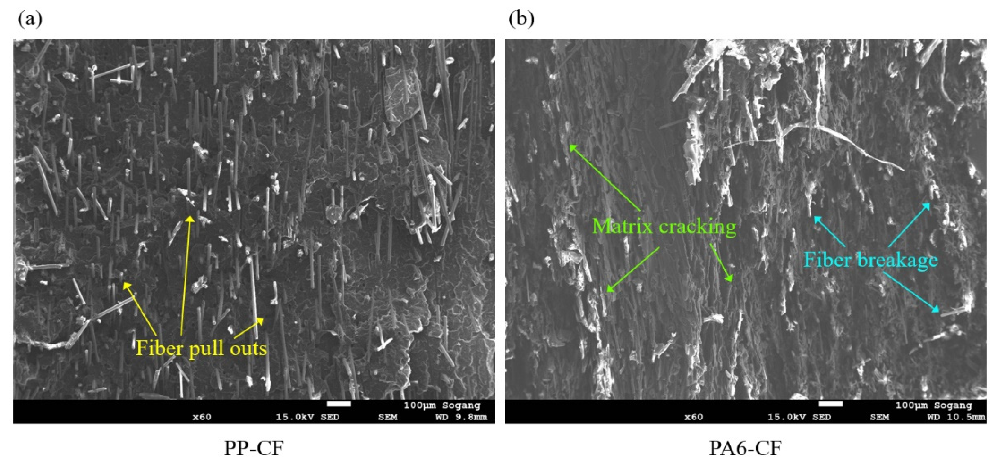 Materials 16 01952 g009
