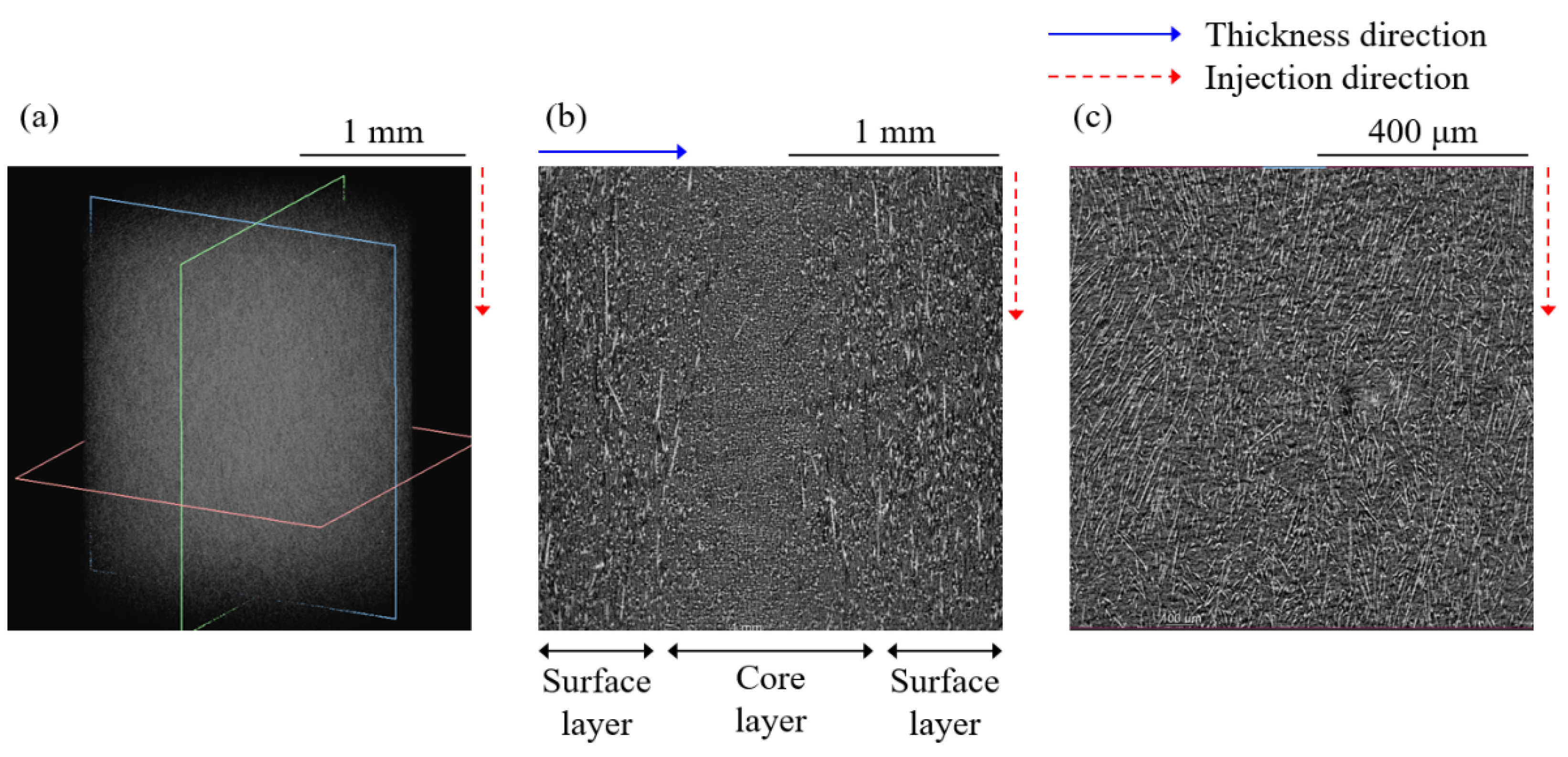 Materials 16 01952 g010