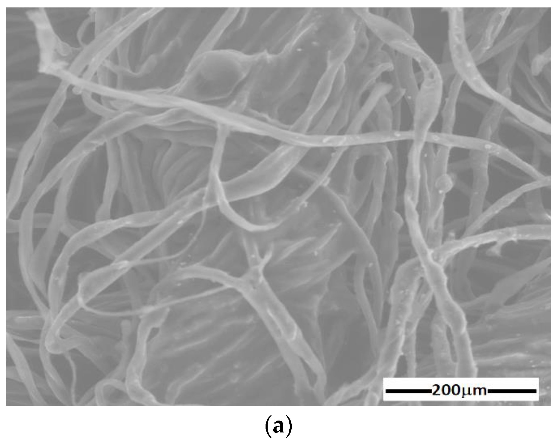 Materials 16 01995 g004a Materials 16 01995 g004a