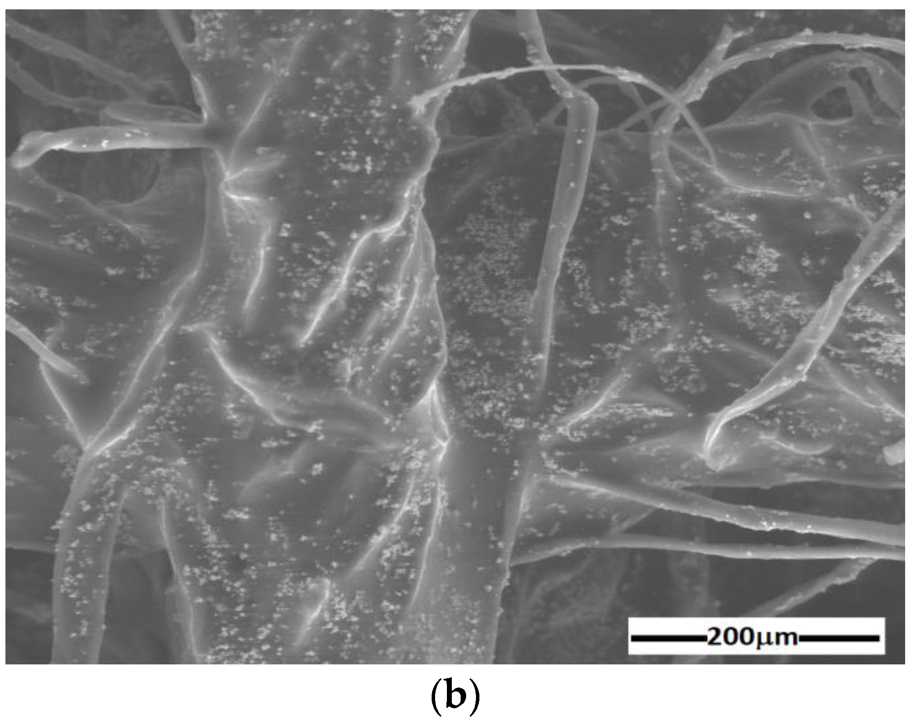 Materials 16 01995 g004b Materials 16 01995 g004b
