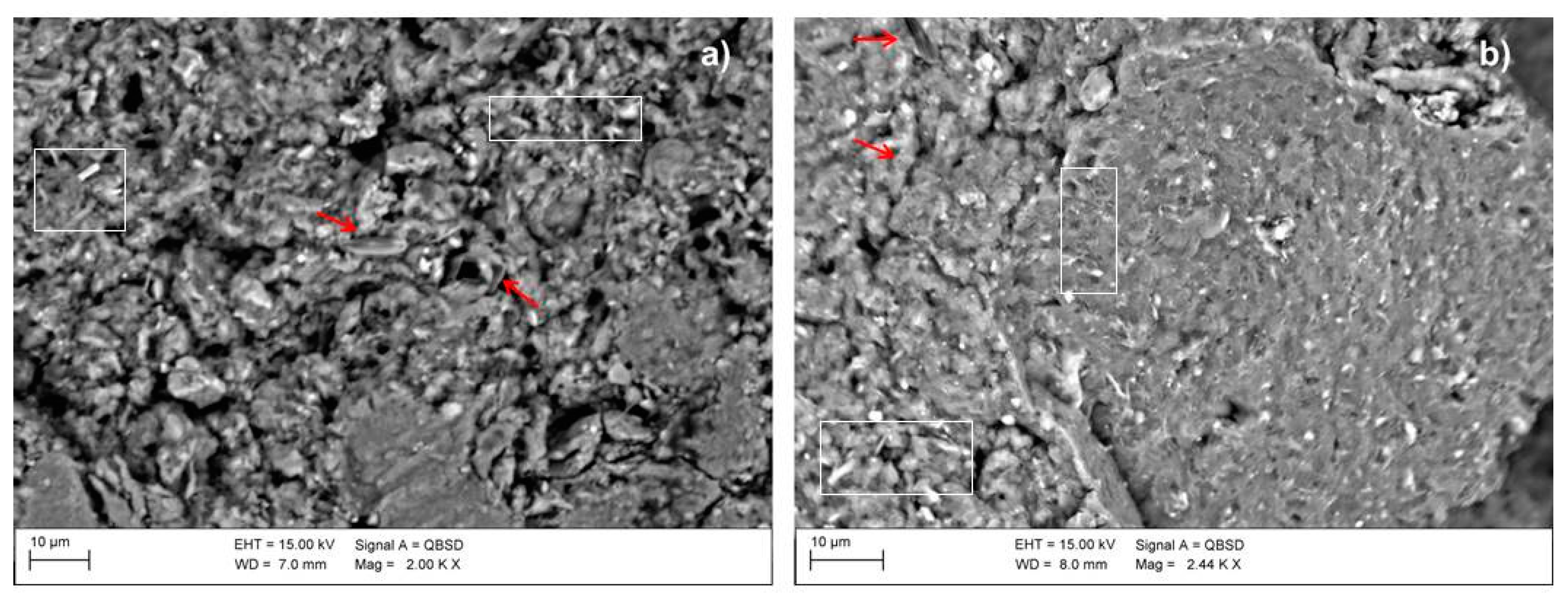 Materials 16 01998 g005 Materials 16 01998 g005