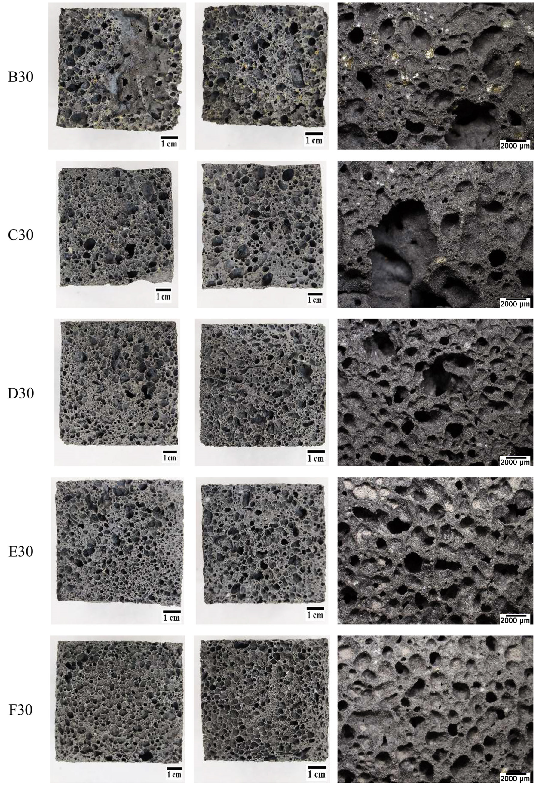 Materials 16 02044 g012