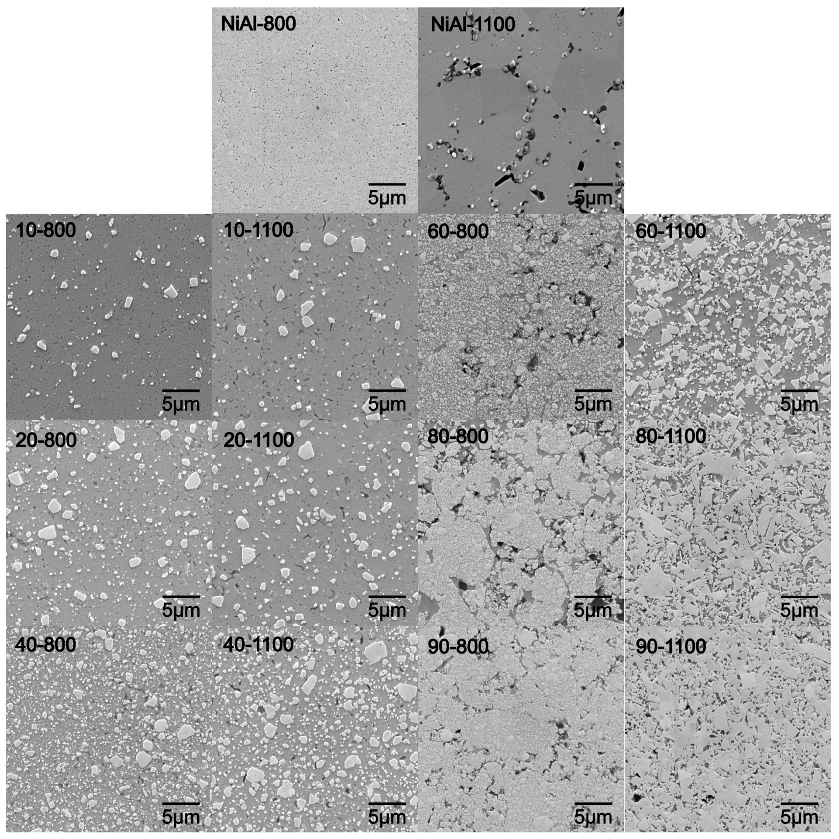 Materials 16 02048 g010