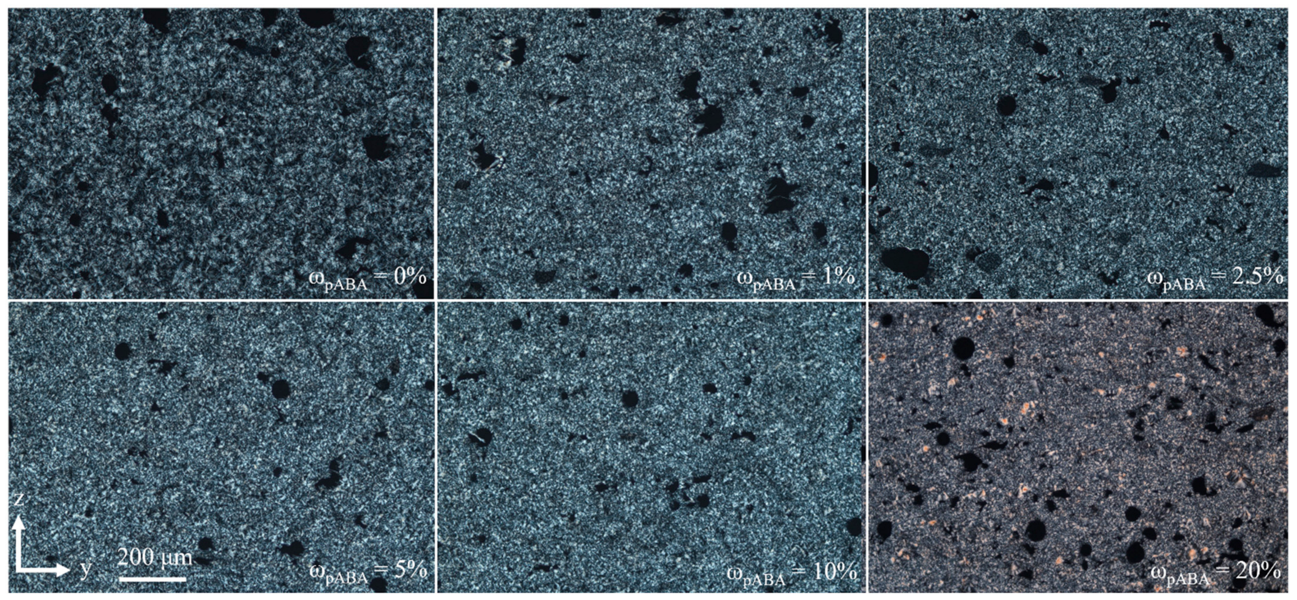 Materials 16 02050 g010