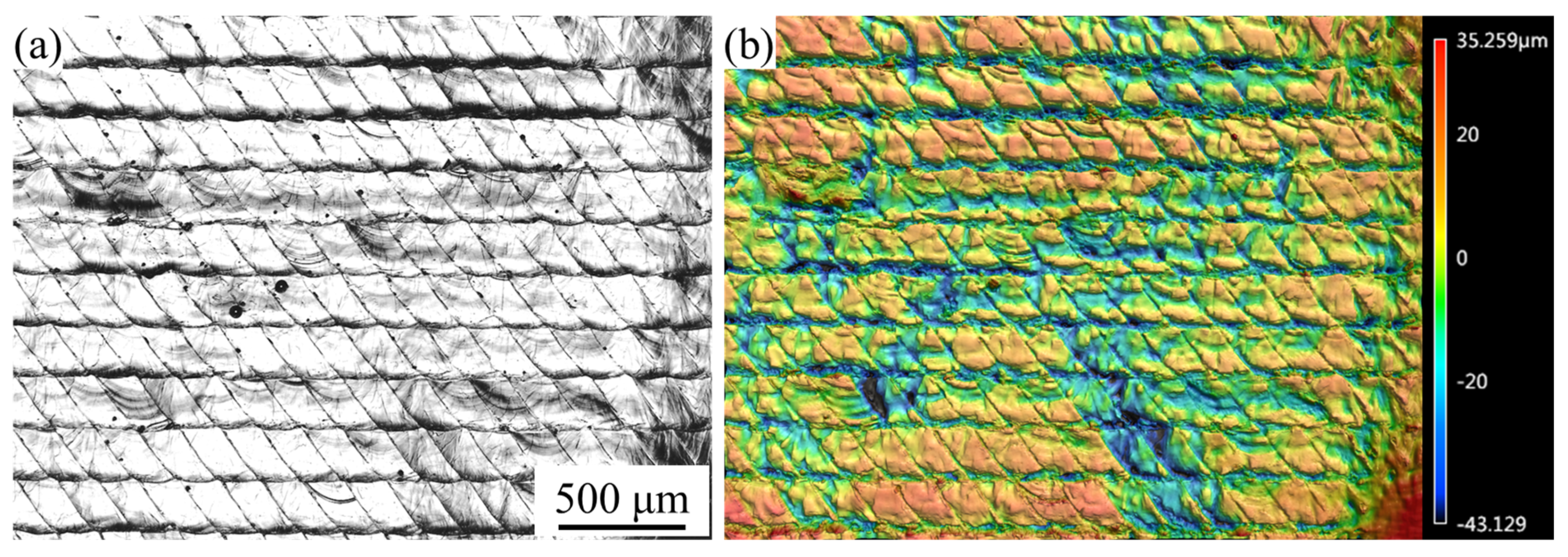 Materials 16 02062 g008