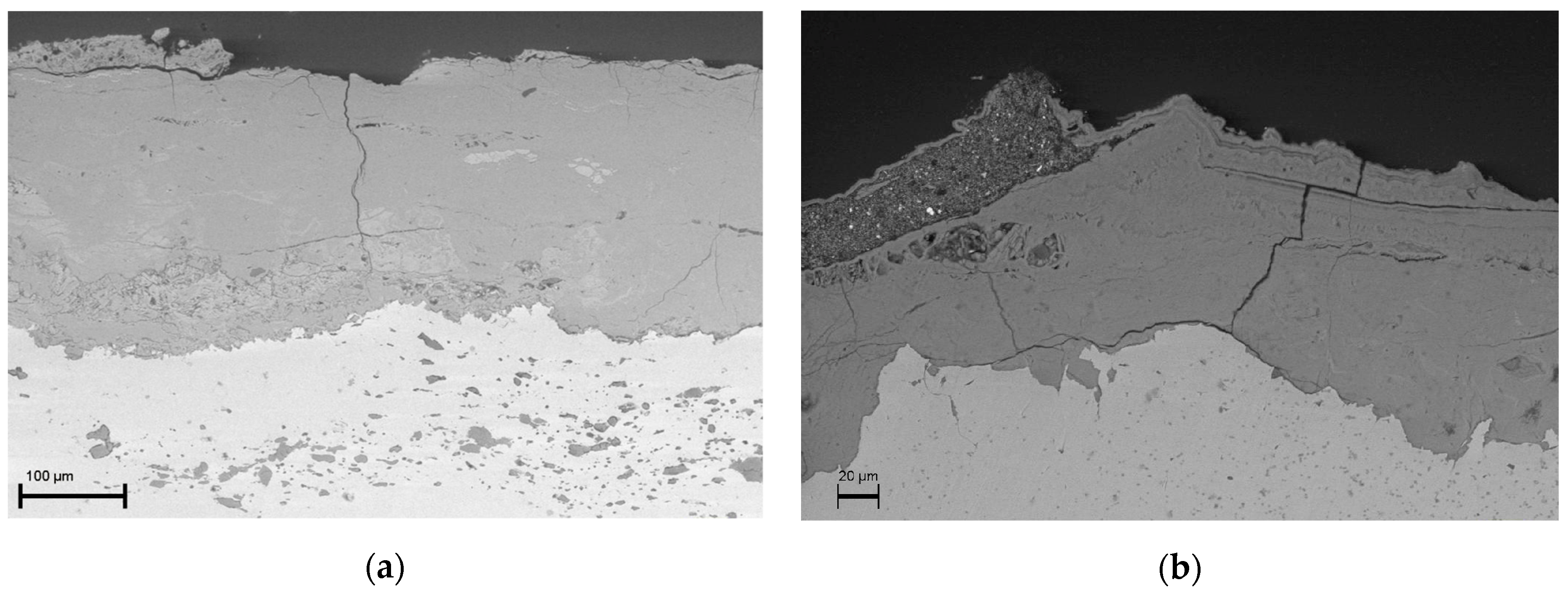 Materials 16 02072 g007 Materials 16 02072 g007