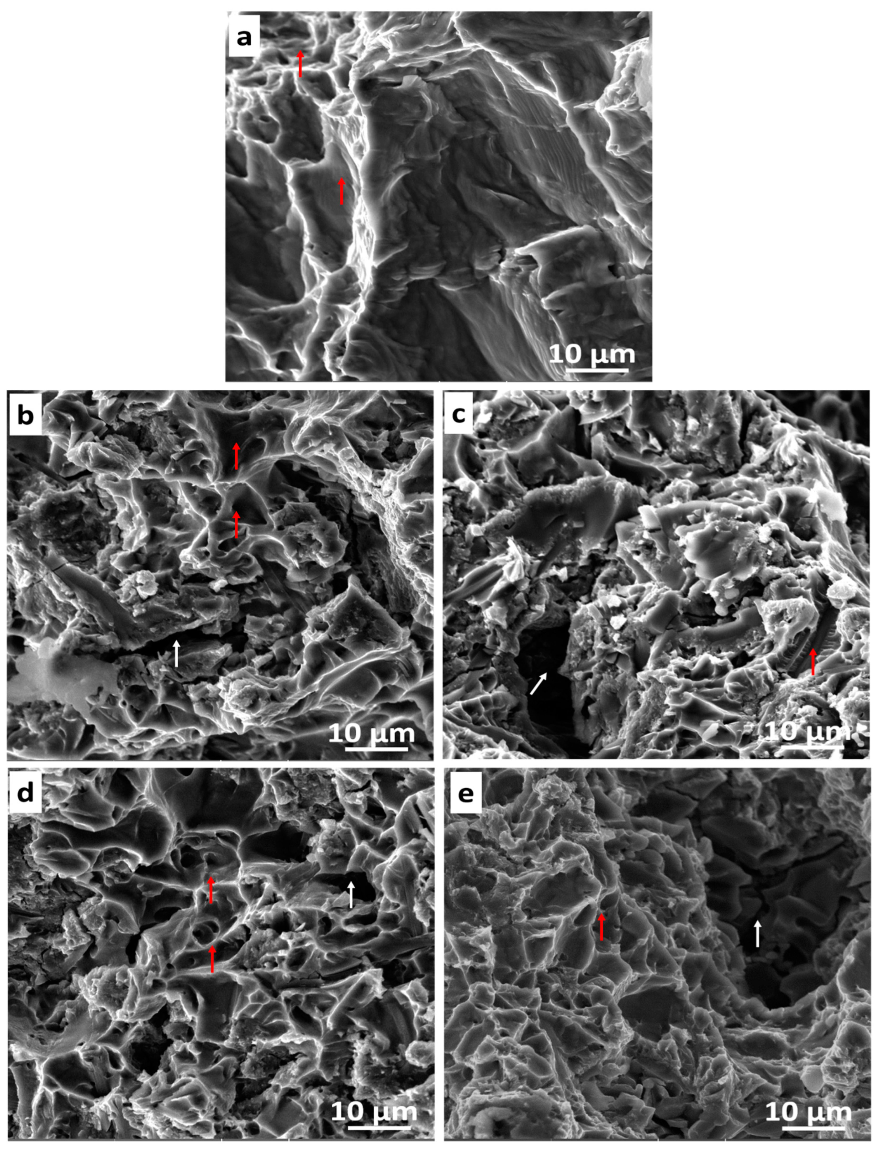 Materials 16 02078 g019