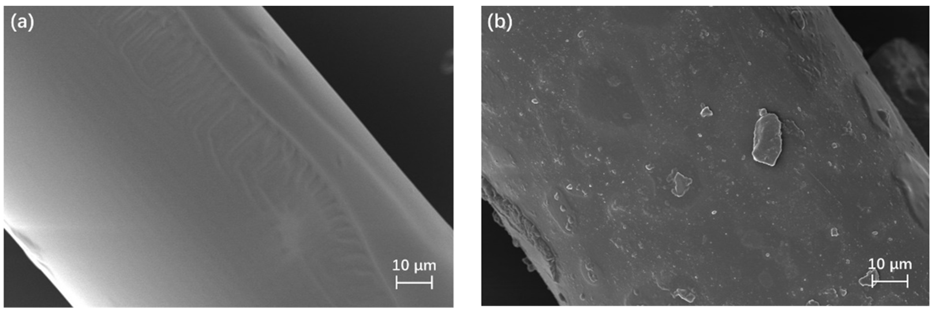 Materials 16 02094 g005