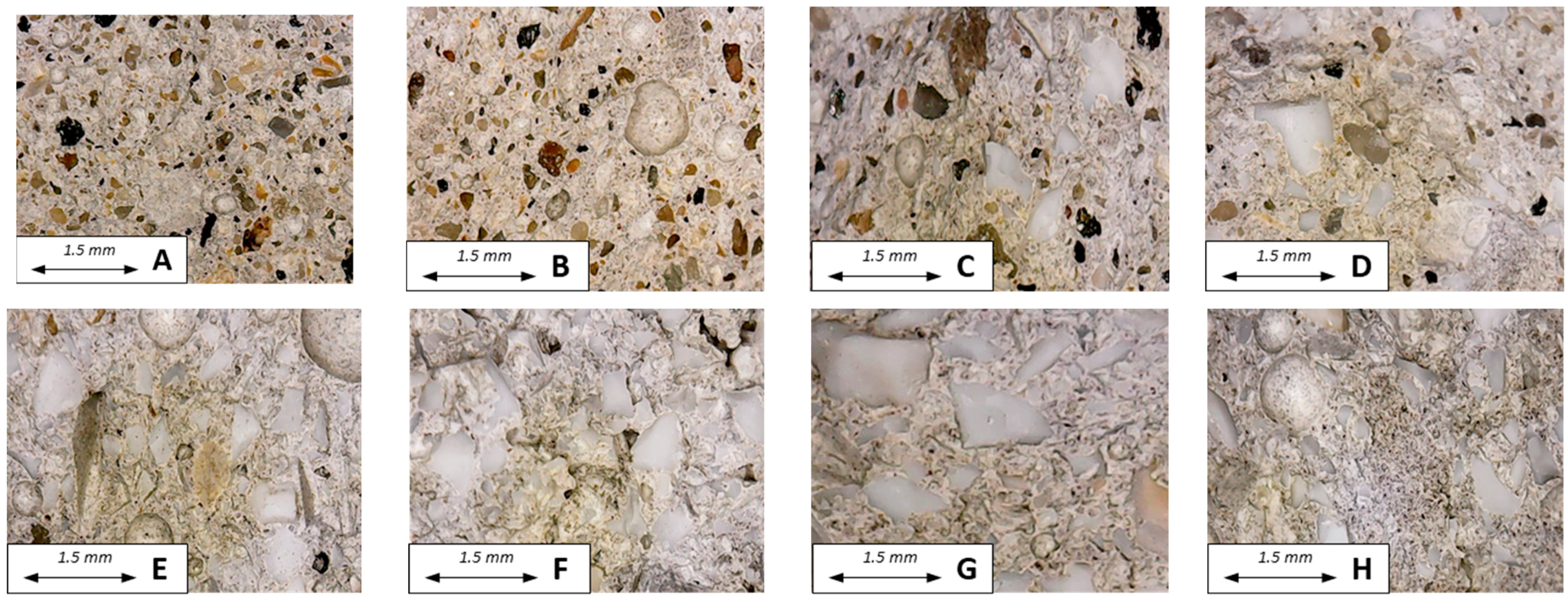 Materials 16 02111 g005 Materials 16 02111 g005