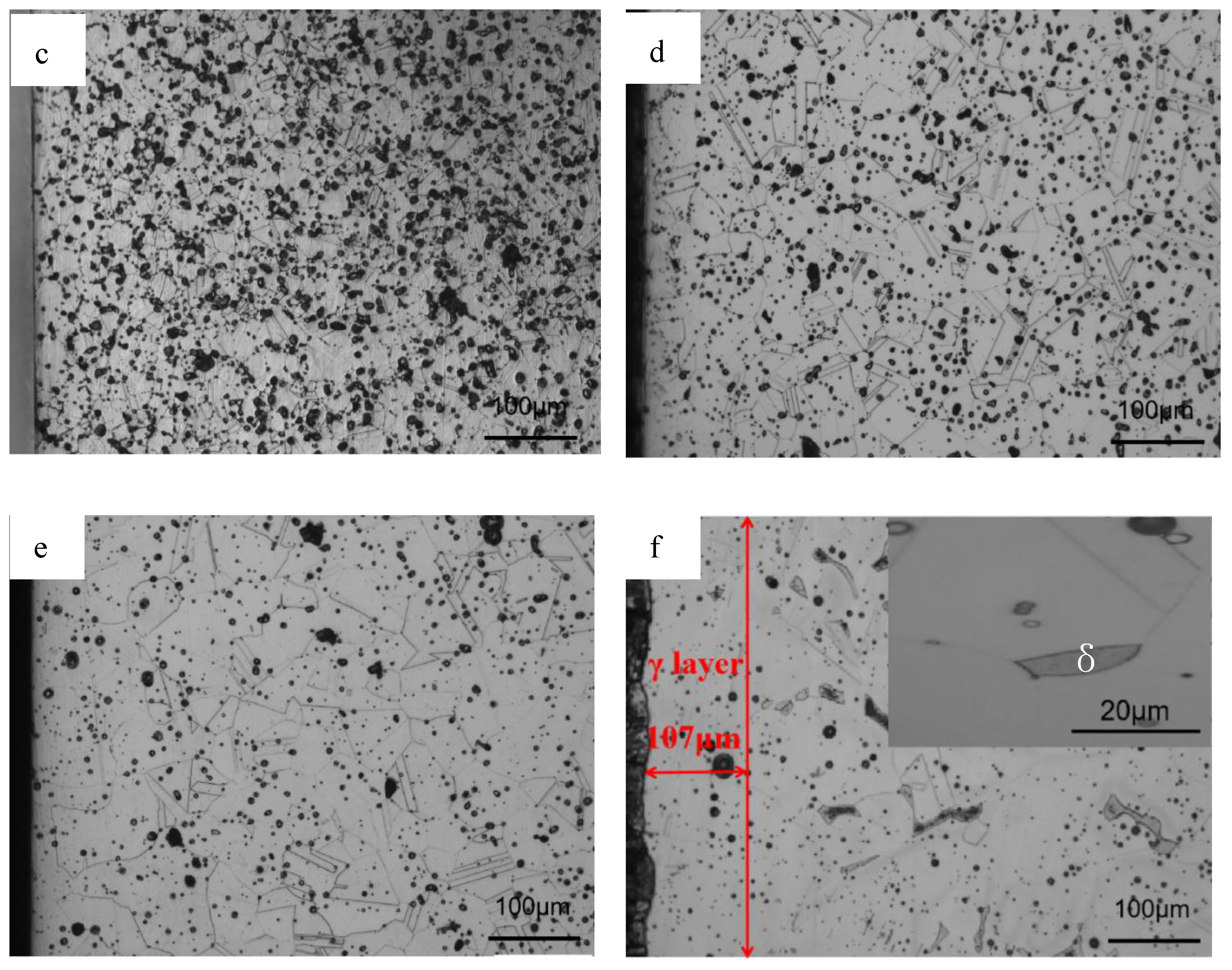 Materials 16 02135 g012b
