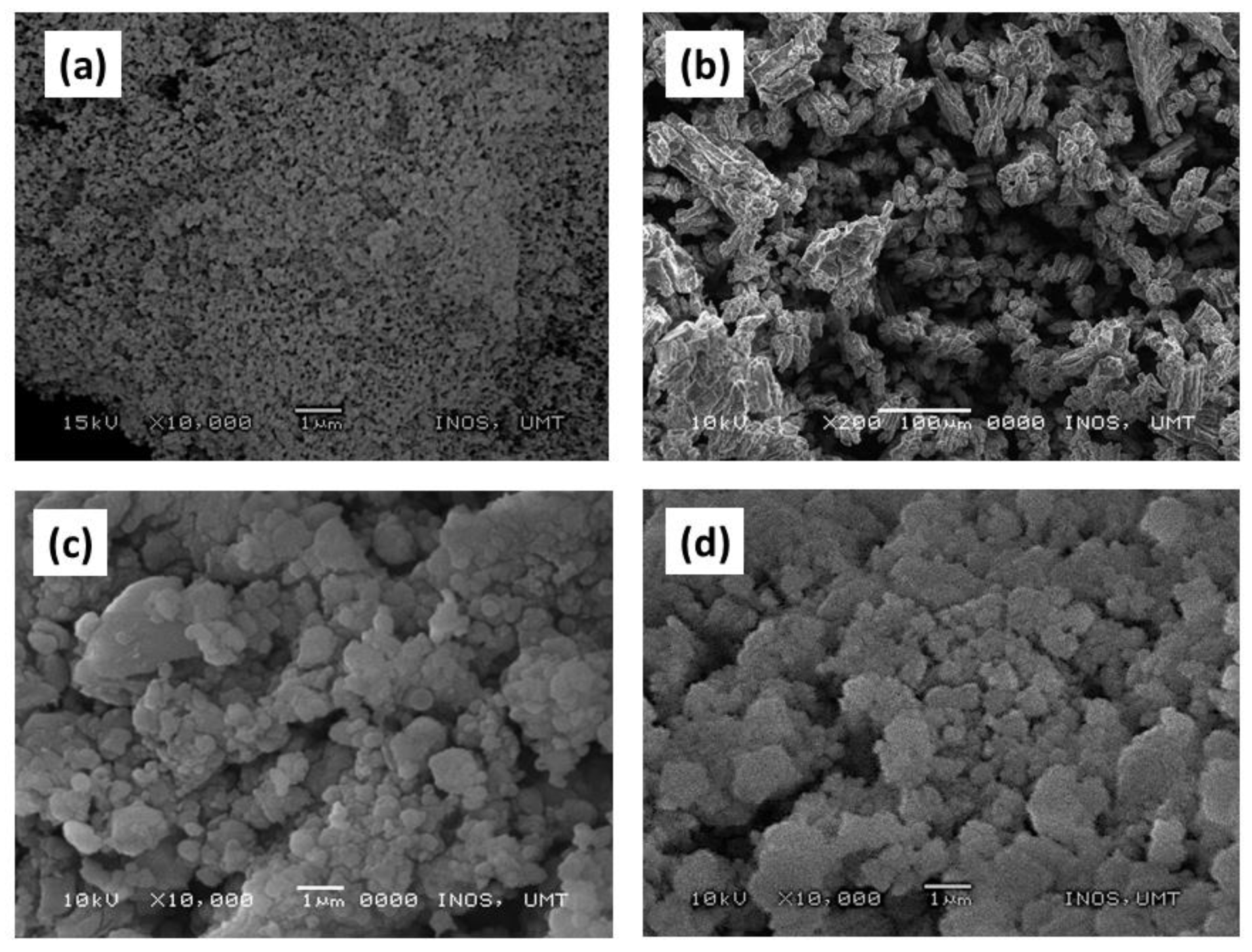 Materials 16 02178 g004