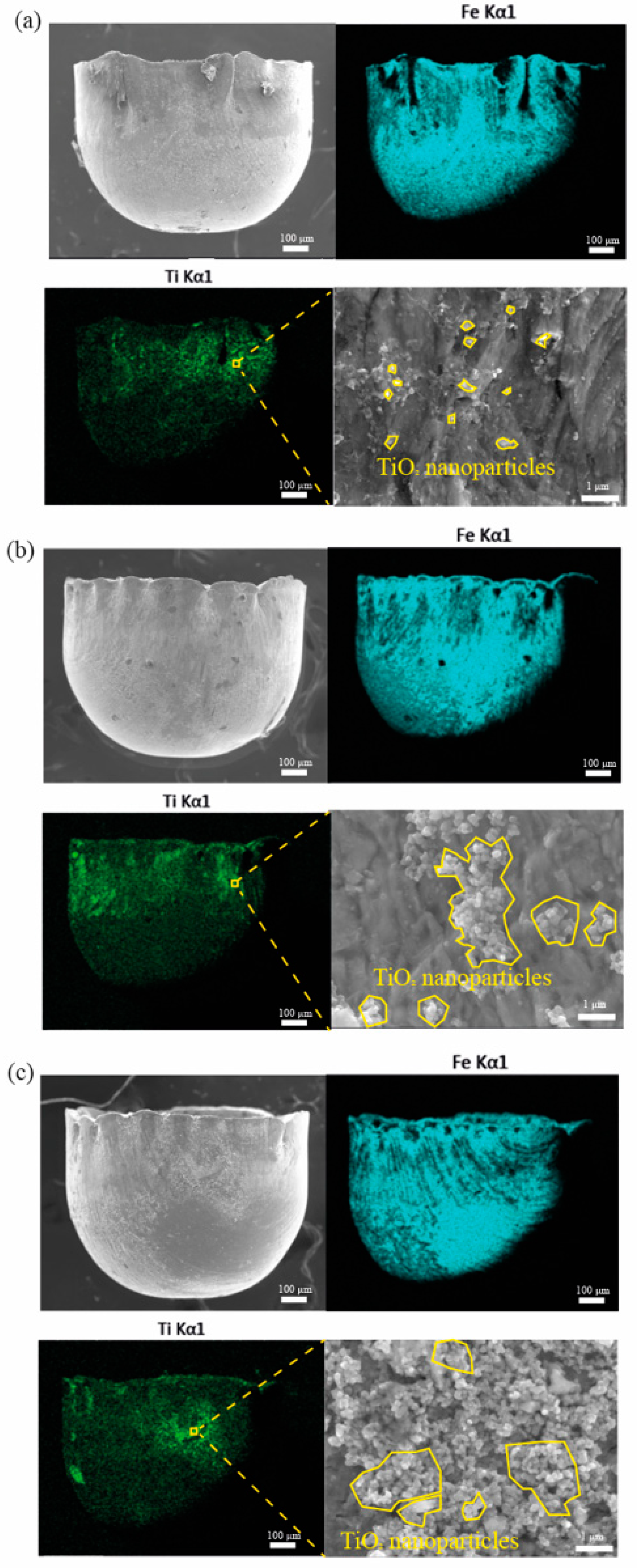 Materials 16 02196 g011 Materials 16 02196 g011