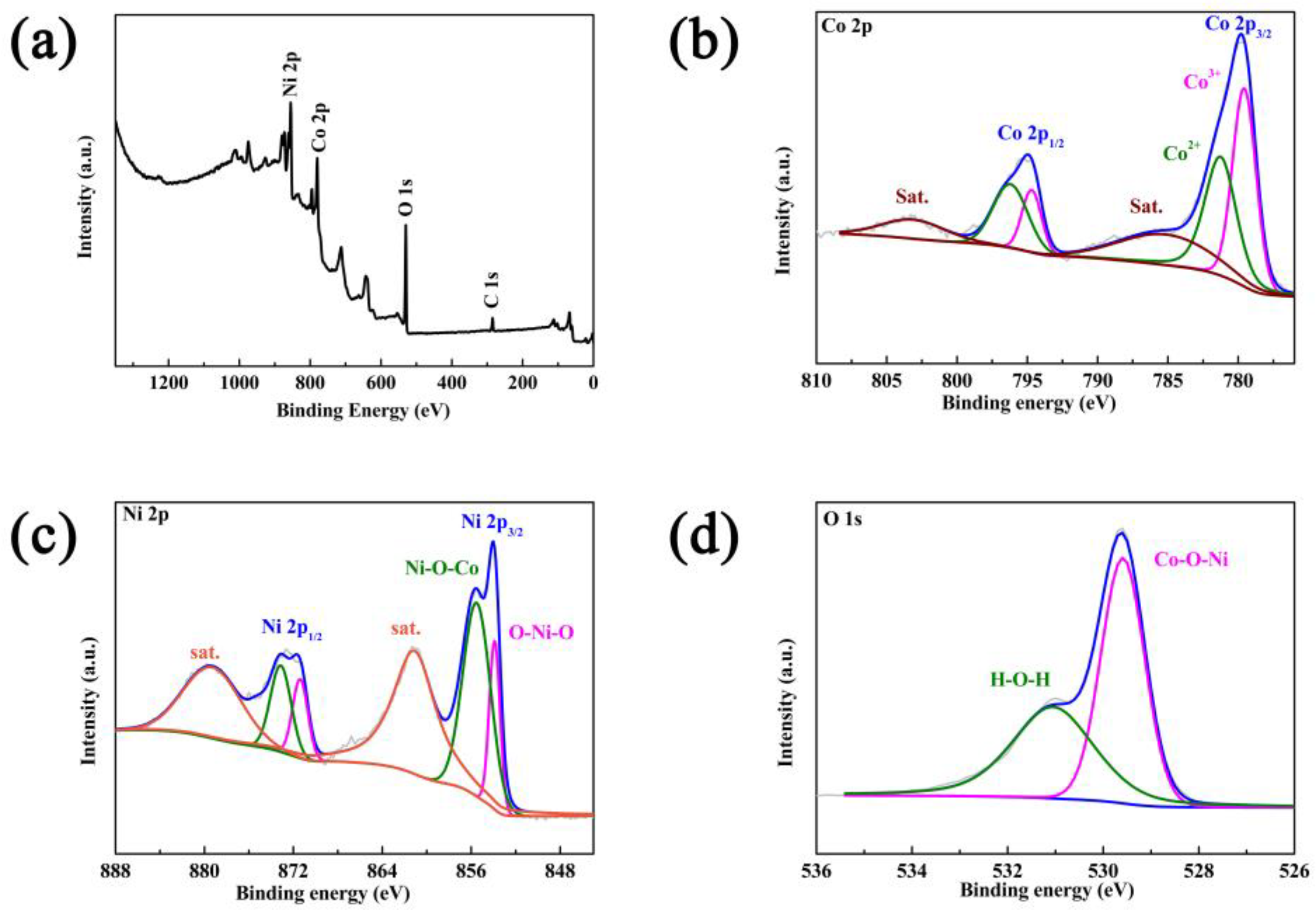 Materials 16 02204 g010
