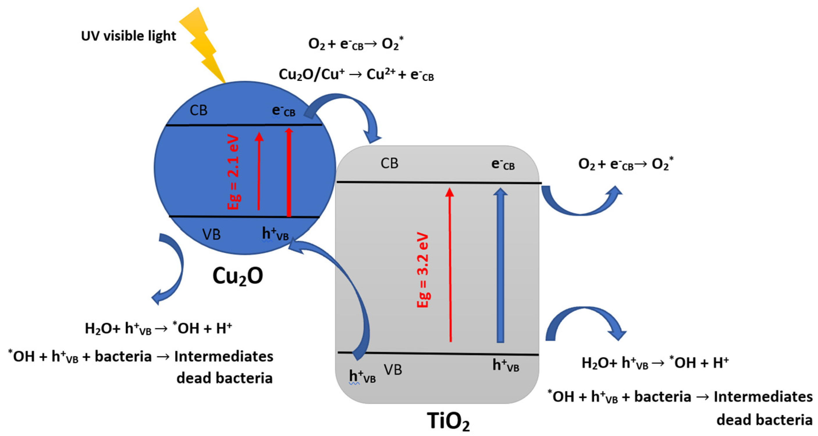 Materials 16 02246 g005 Materials 16 02246 g005