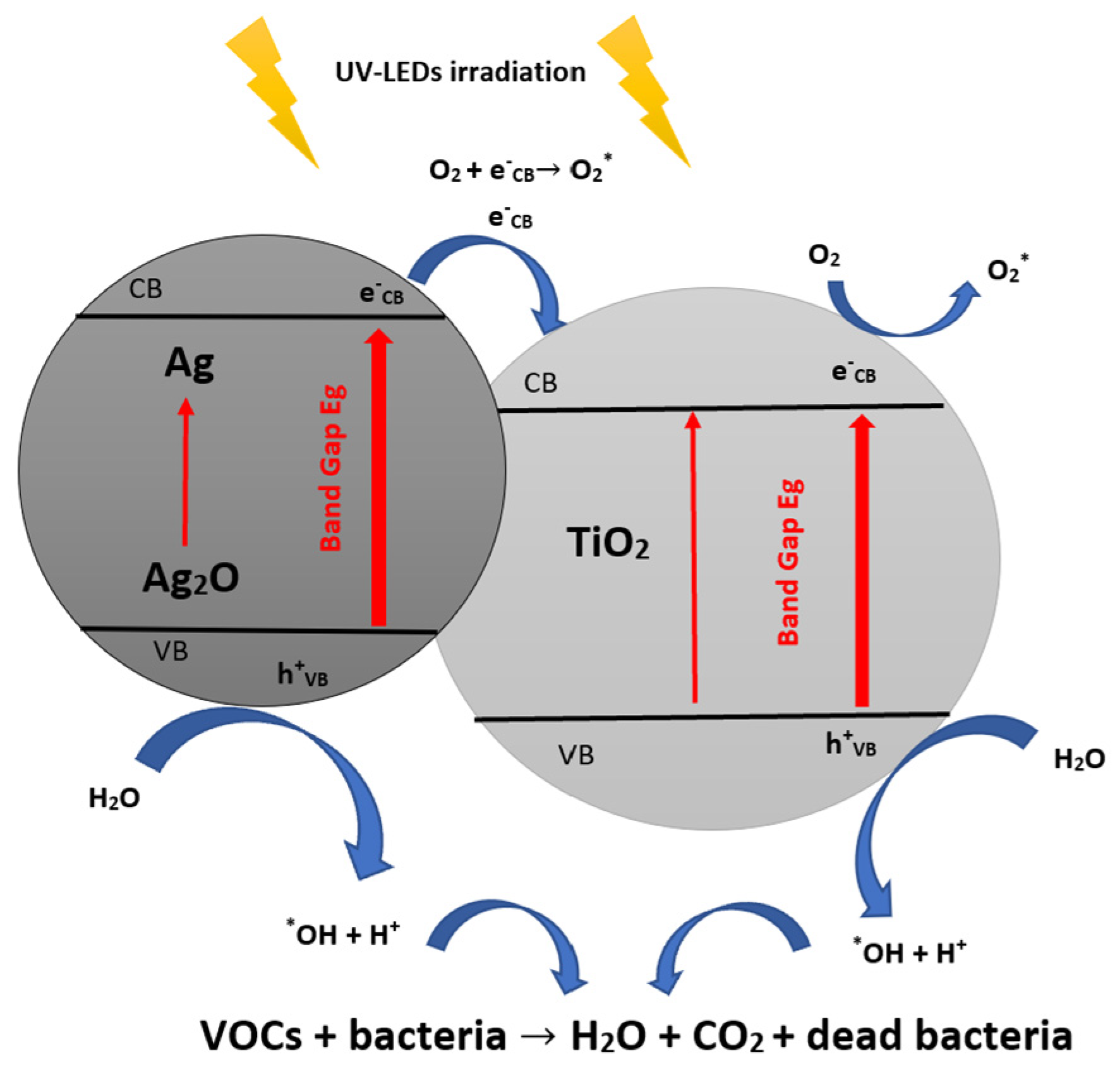 Materials 16 02246 g006 Materials 16 02246 g006