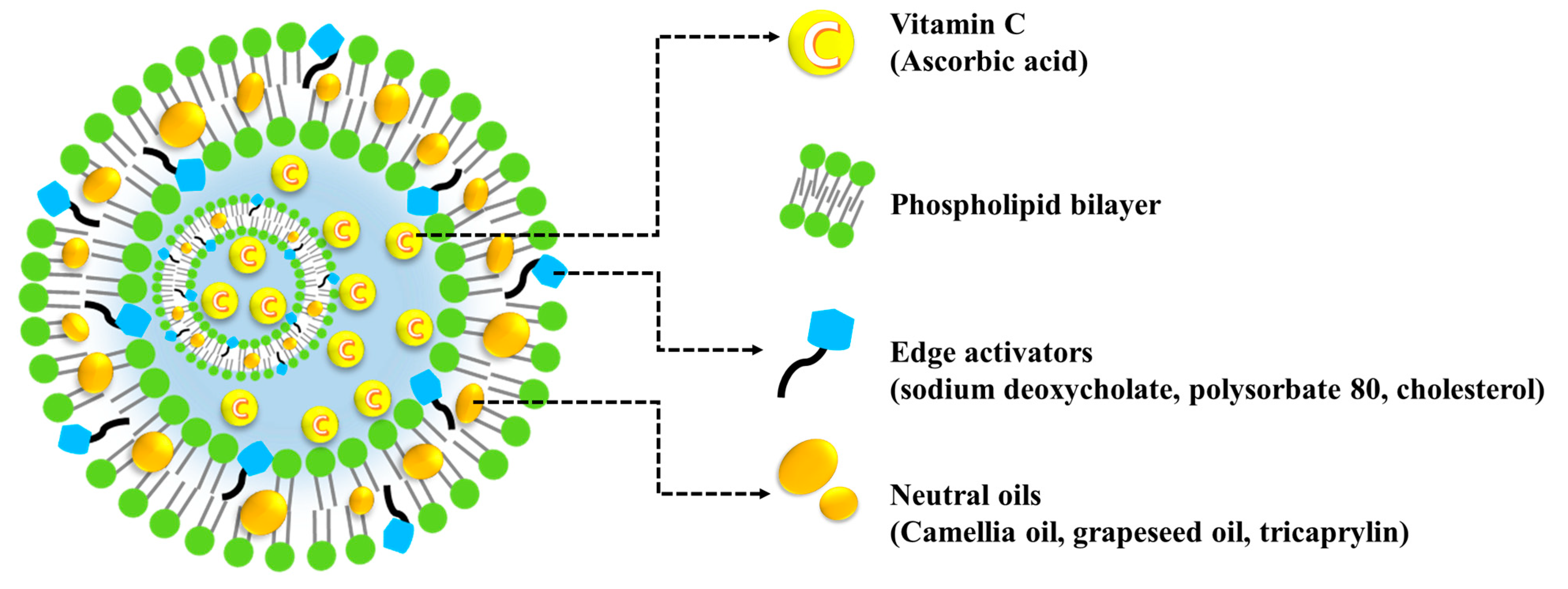 Materials 16 02294 g001