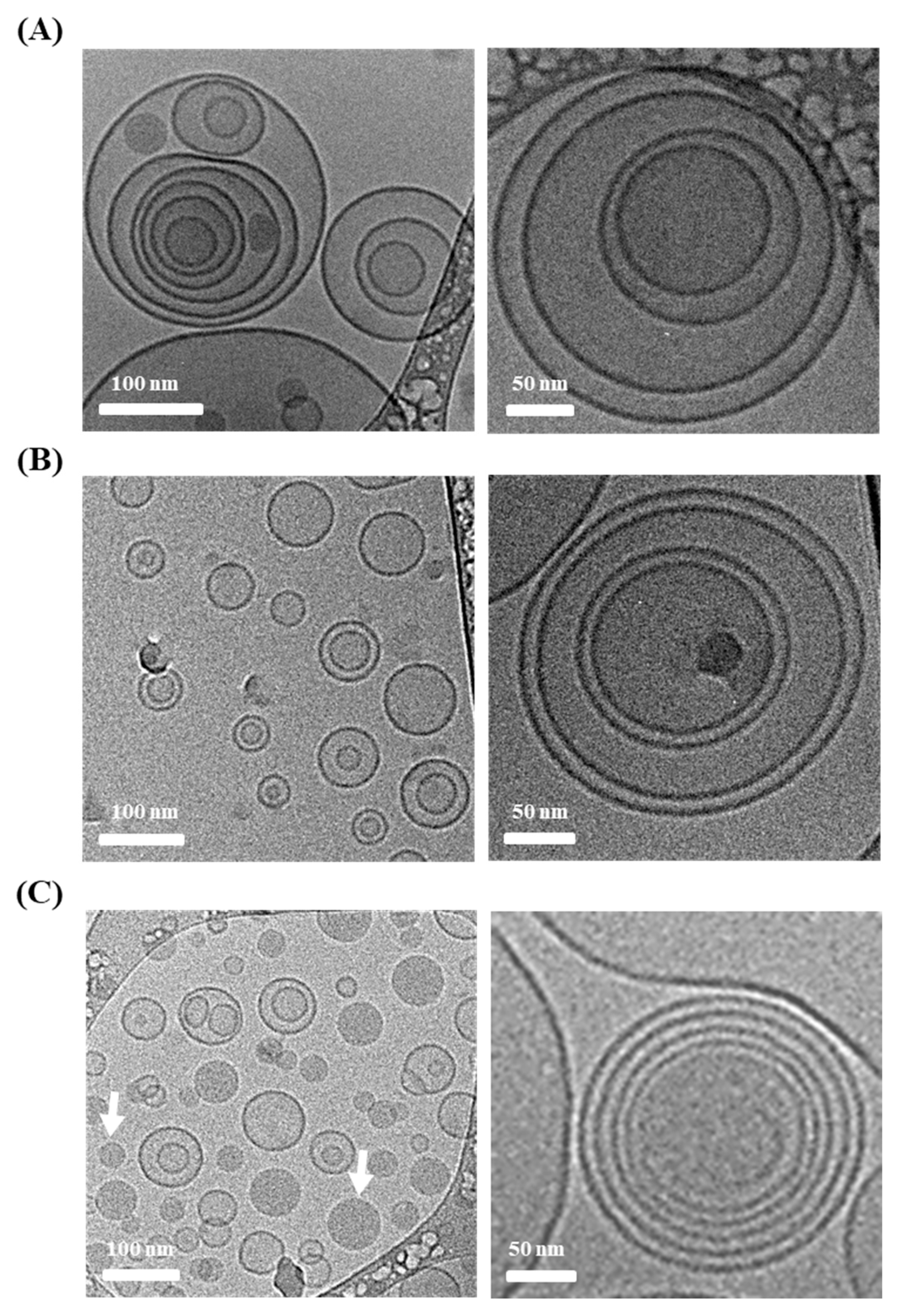 Materials 16 02294 g002