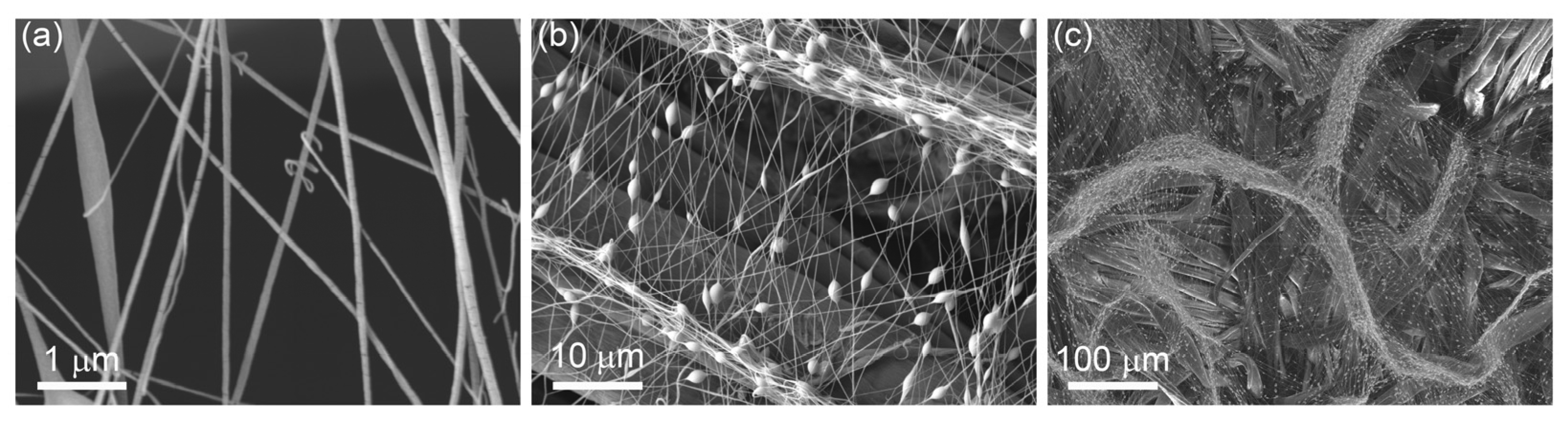 Materials 16 02314 g004 Materials 16 02314 g004