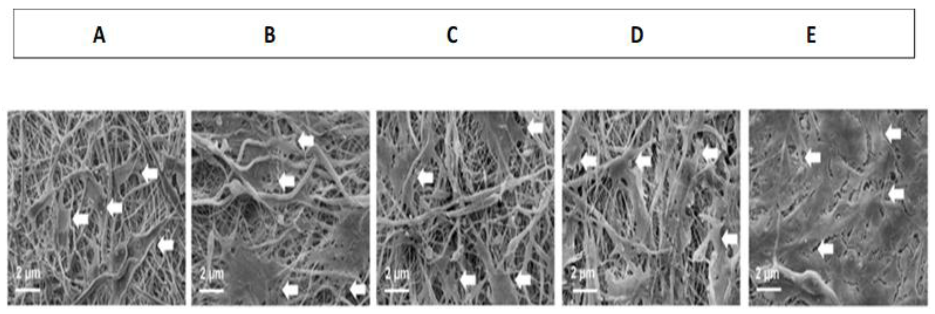 Materials 16 02364 g003