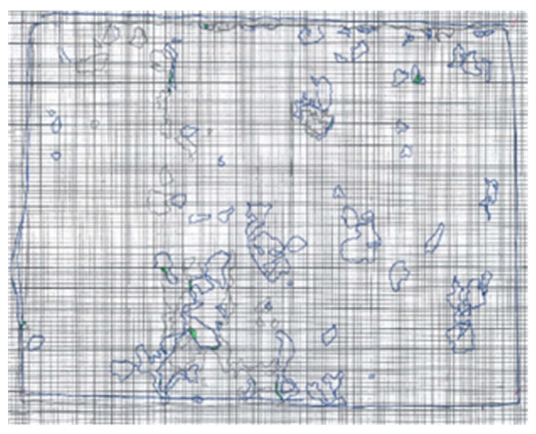 Materials 16 02376 g012