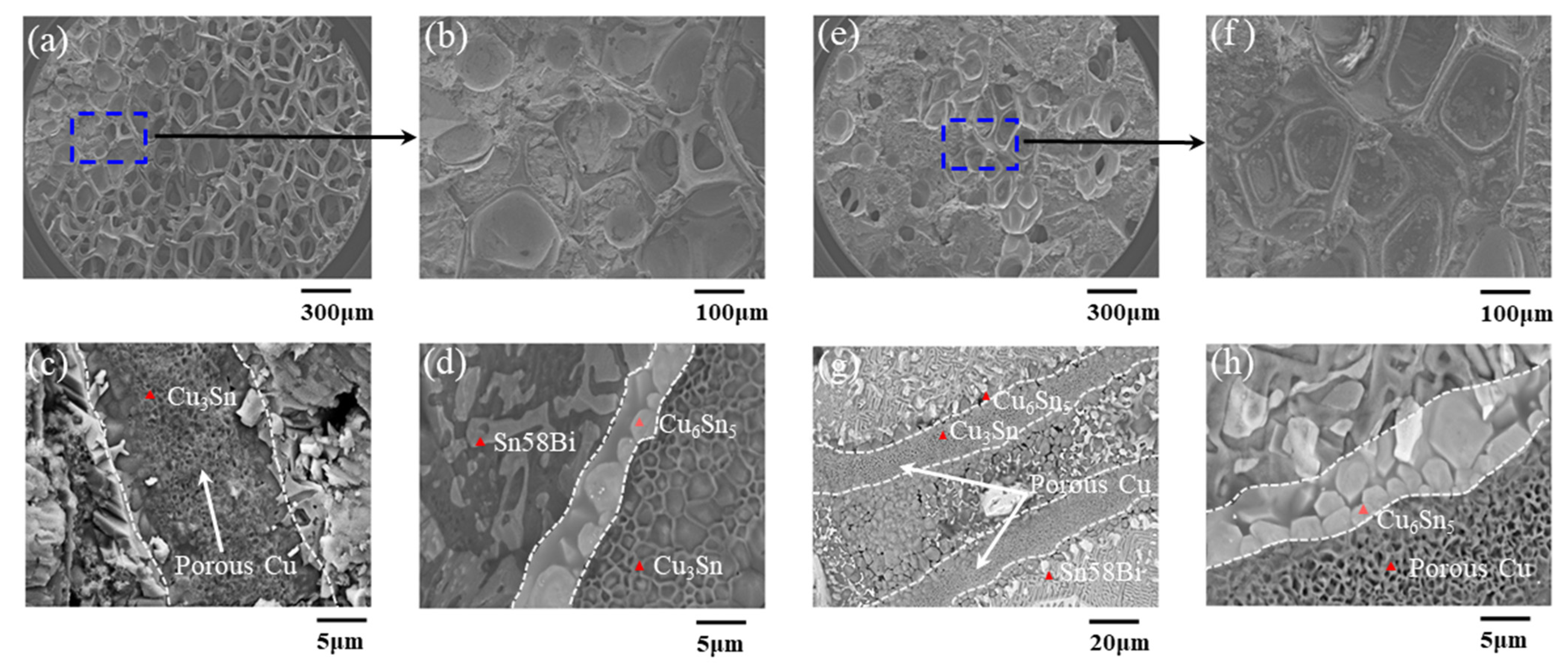 Materials 16 02389 g005 Materials 16 02389 g005