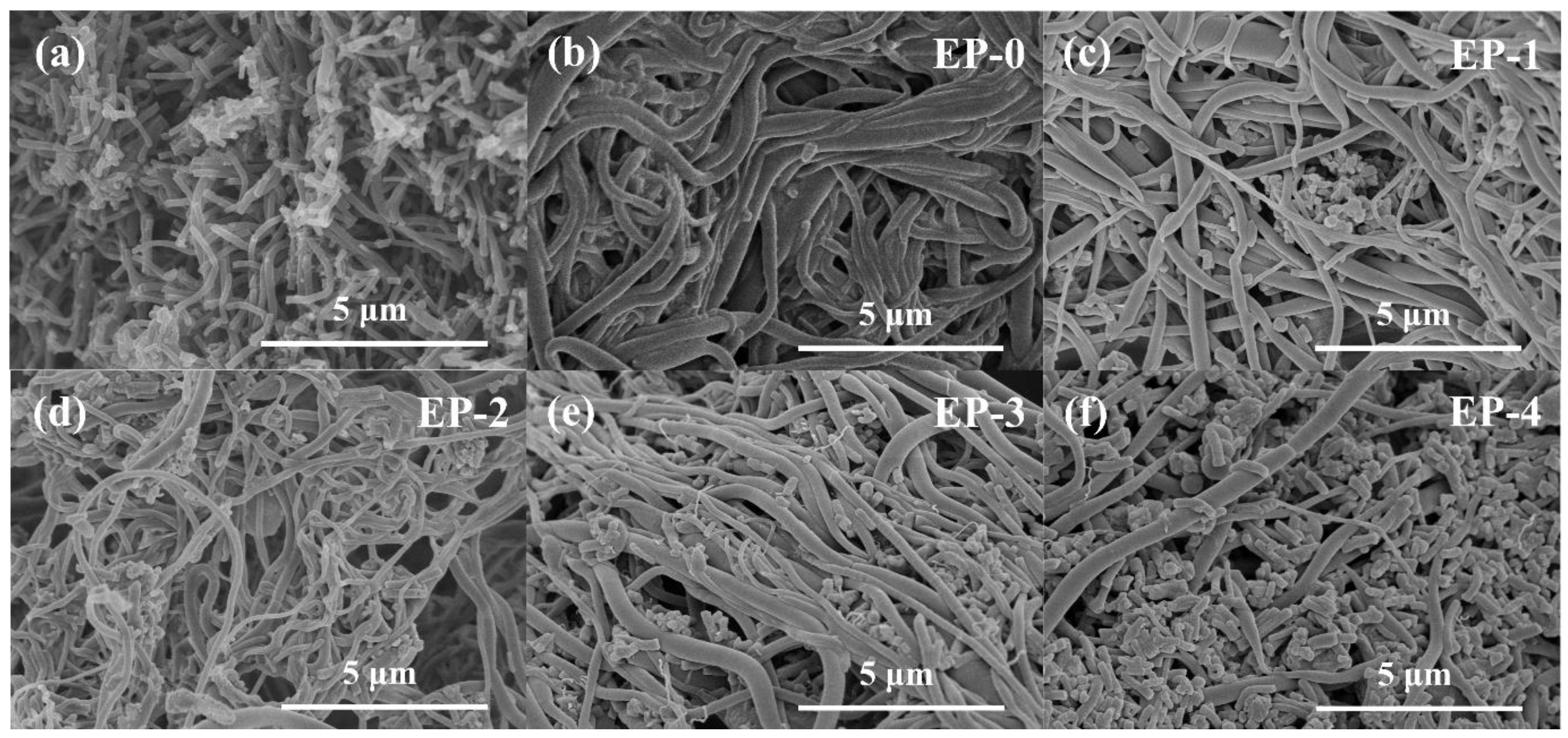 Materials 16 02393 g002