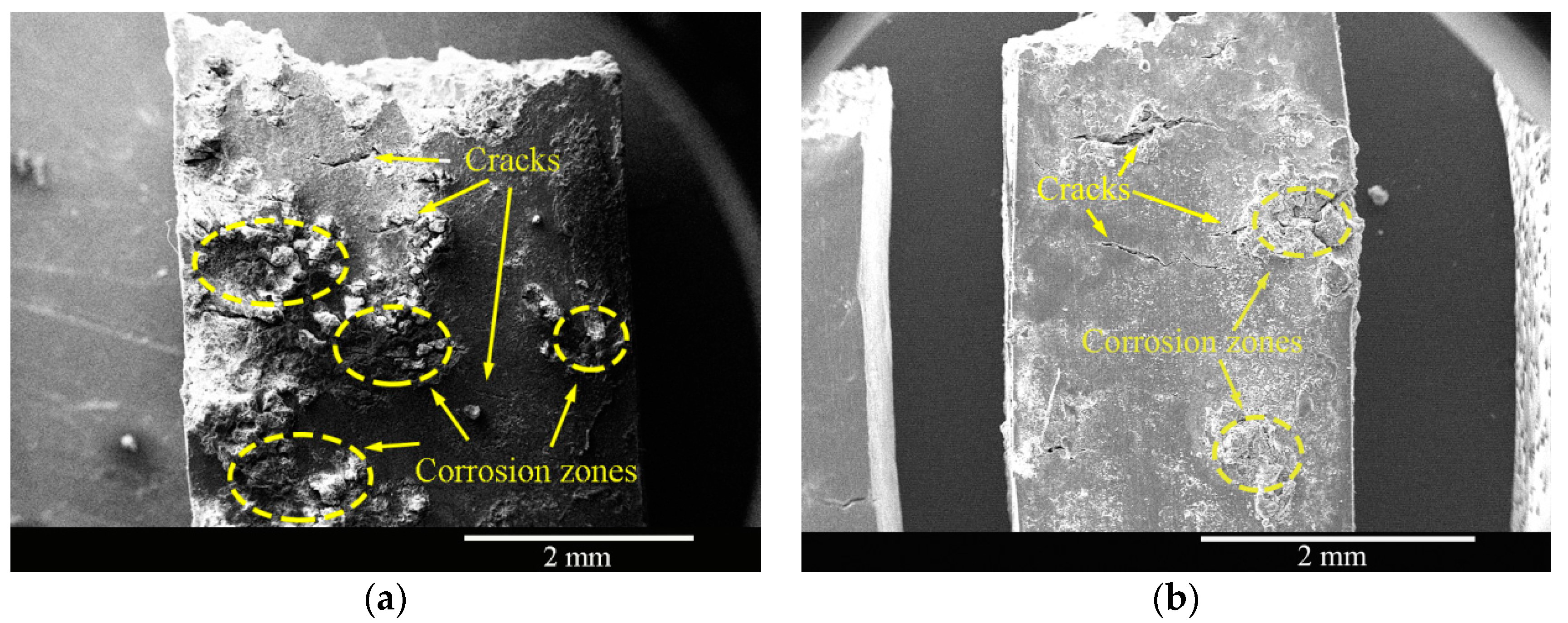 Materials 16 02406 g008