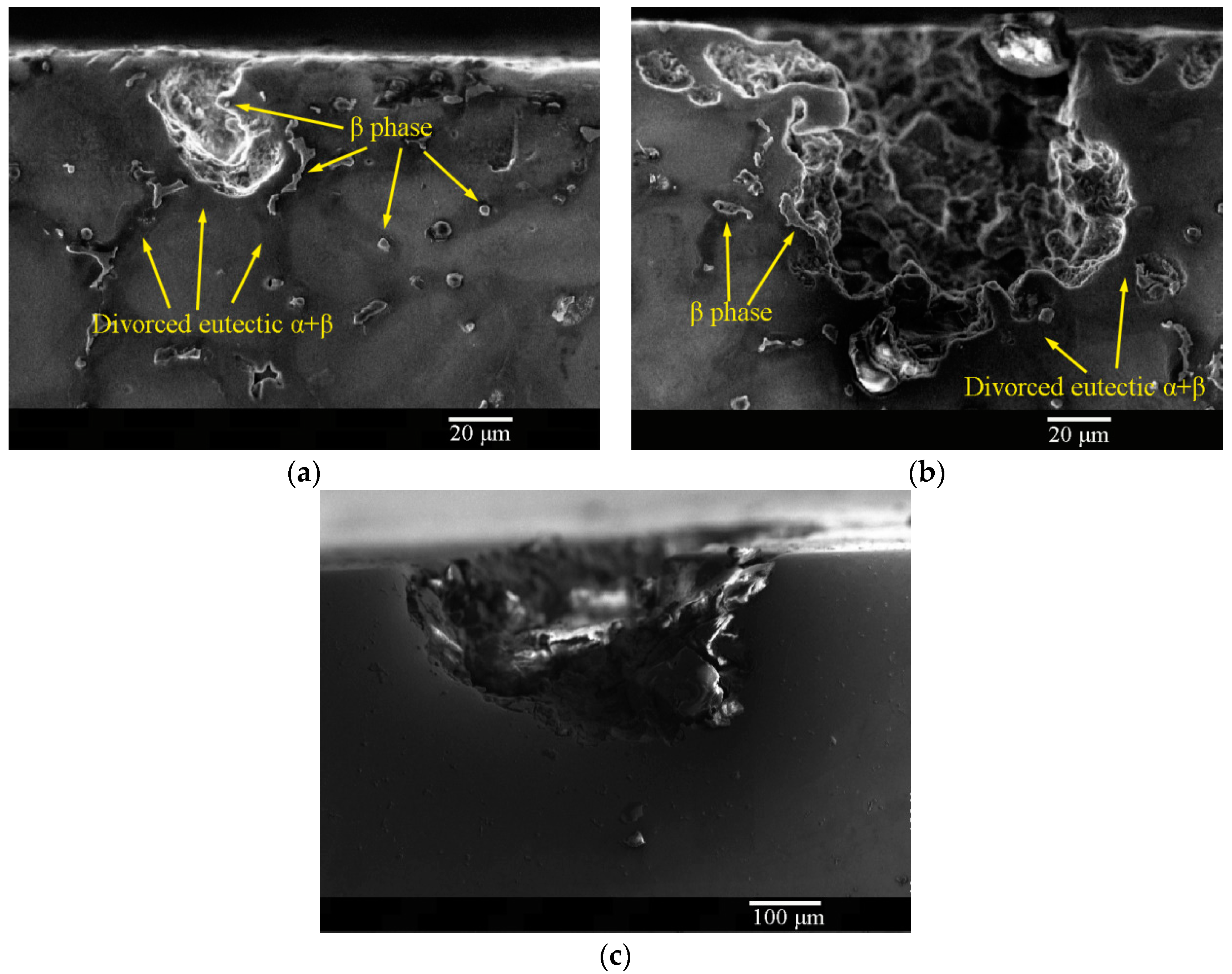 Materials 16 02406 g010