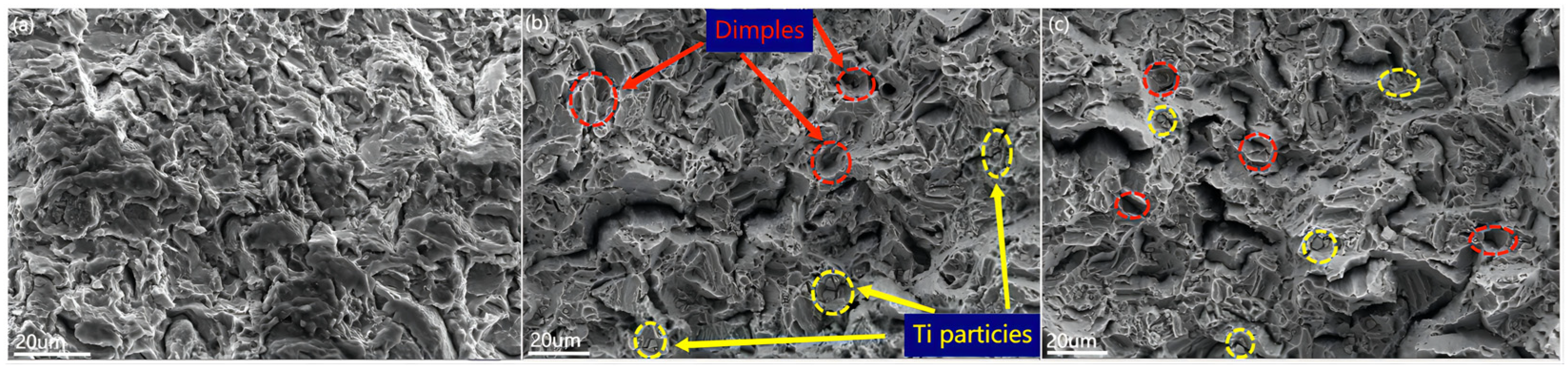 Materials 16 02407 g010