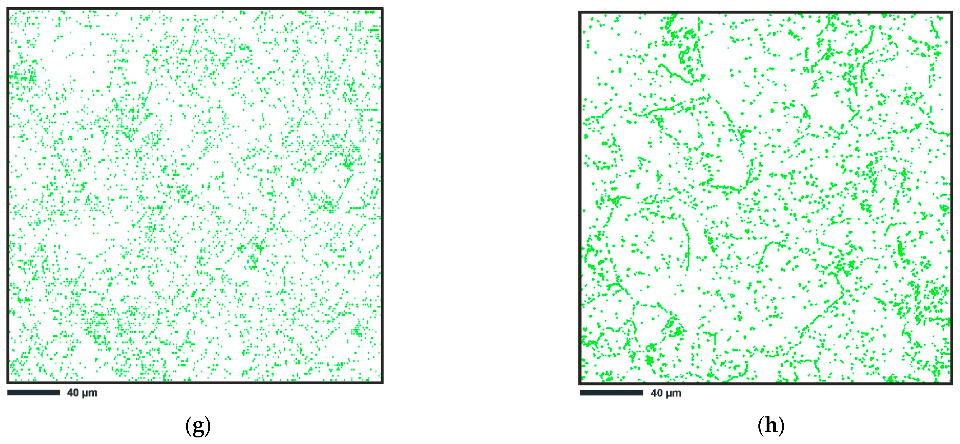 Materials 16 02412 g003b