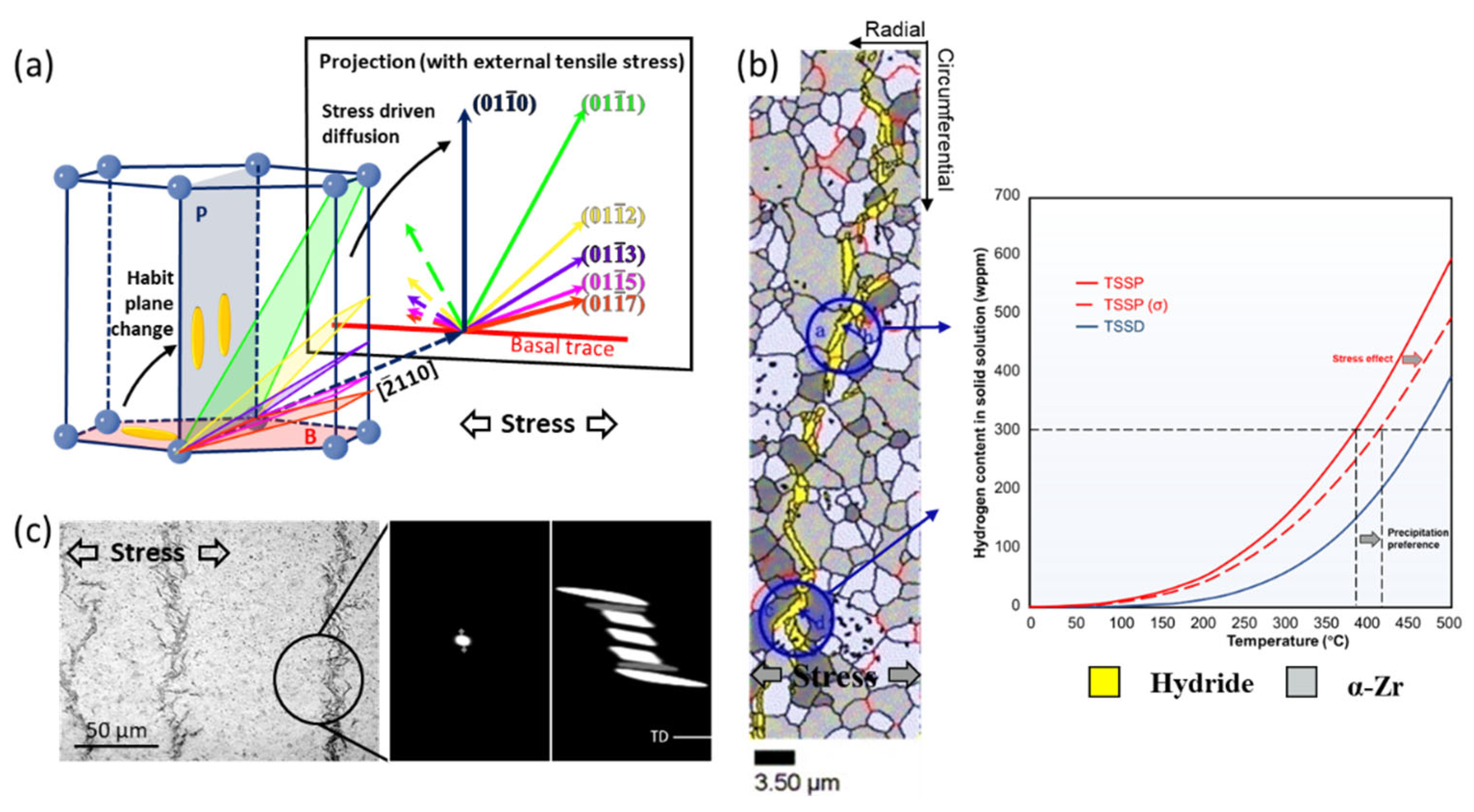 Materials 16 02419 g008