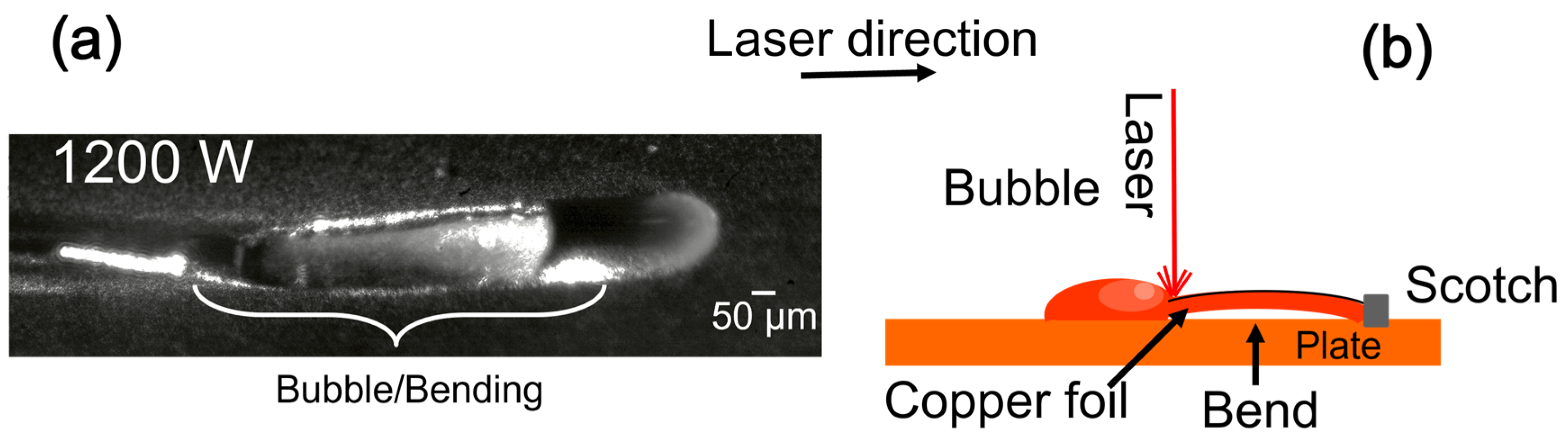 Materials 16 02460 g008