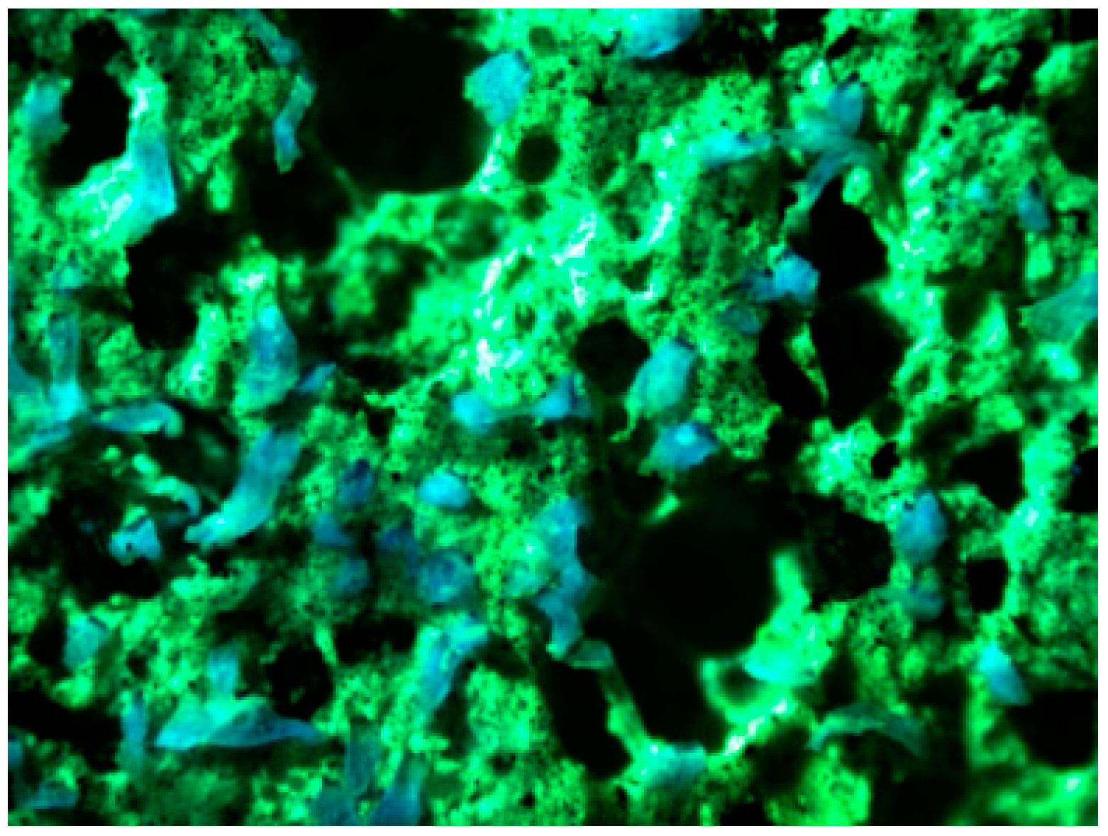 Materials 16 02465 g008