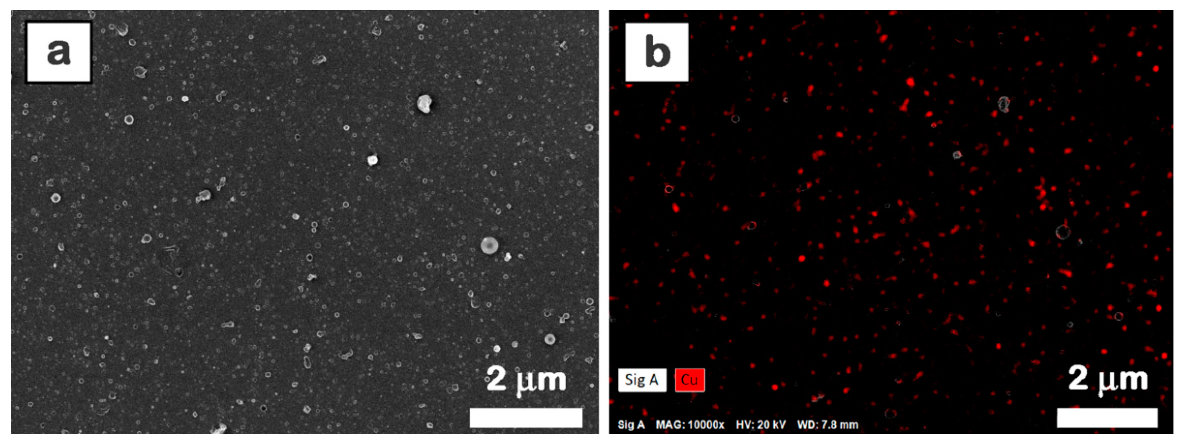 Materials 16 02480 g005 Materials 16 02480 g005