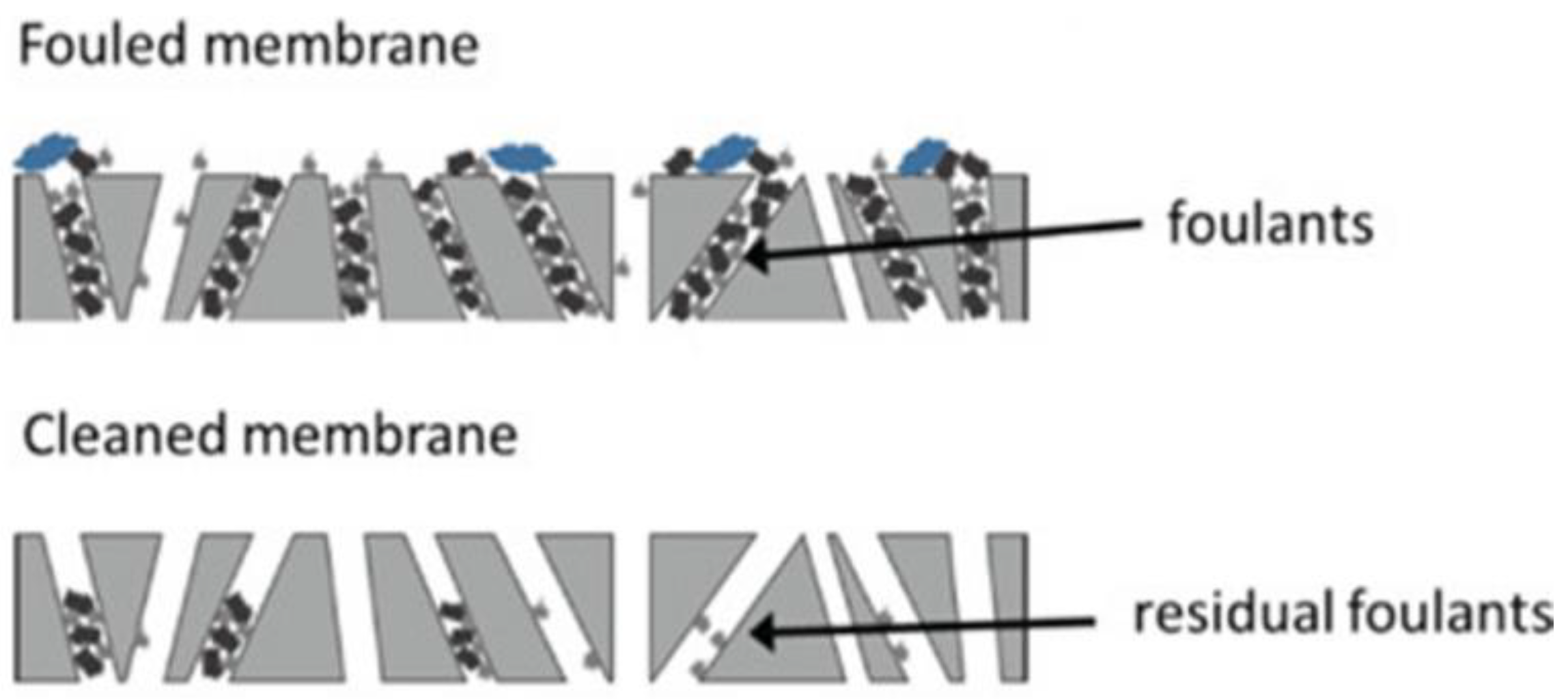 Materials 16 02503 g006