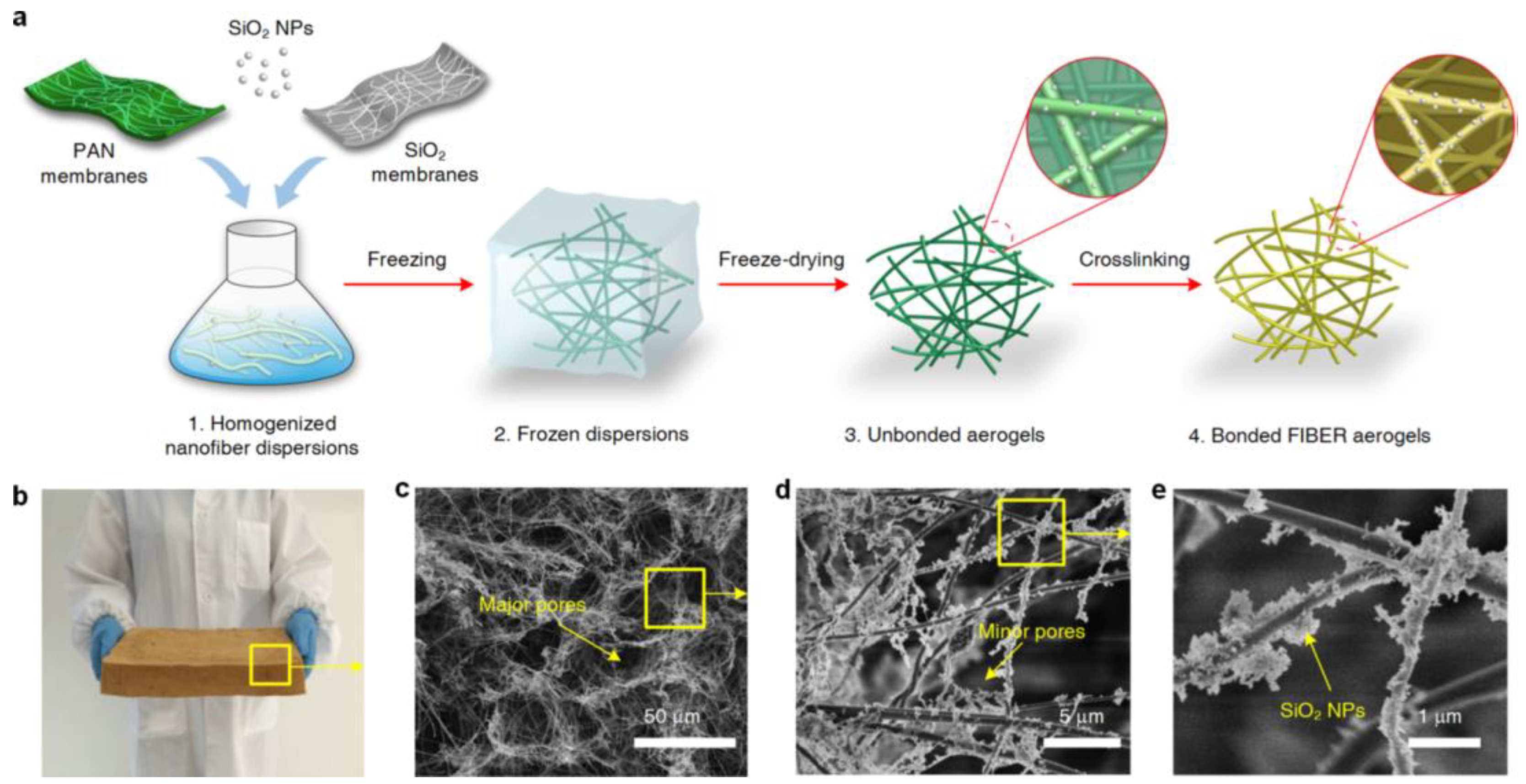 Materials 16 02503 g012