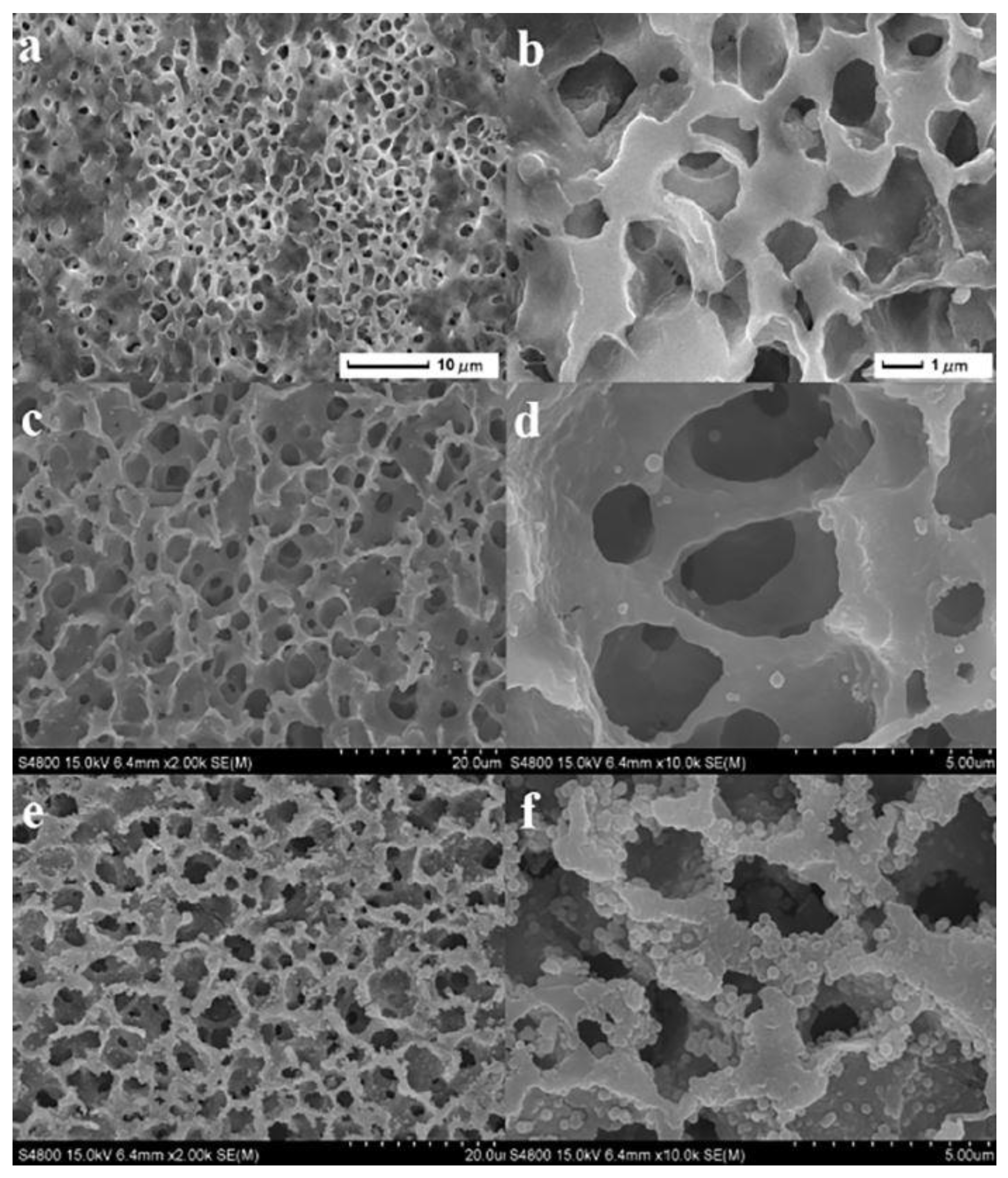 Materials 16 02503 g013