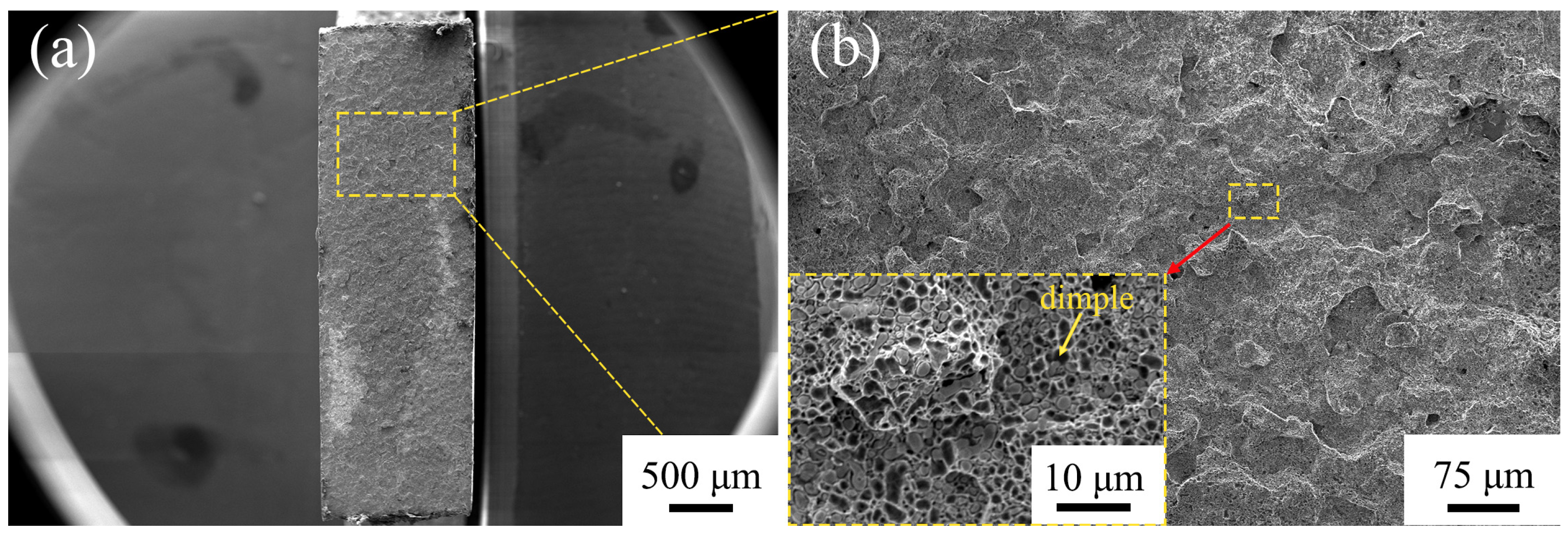 Materials 16 02554 g011 Materials 16 02554 g011