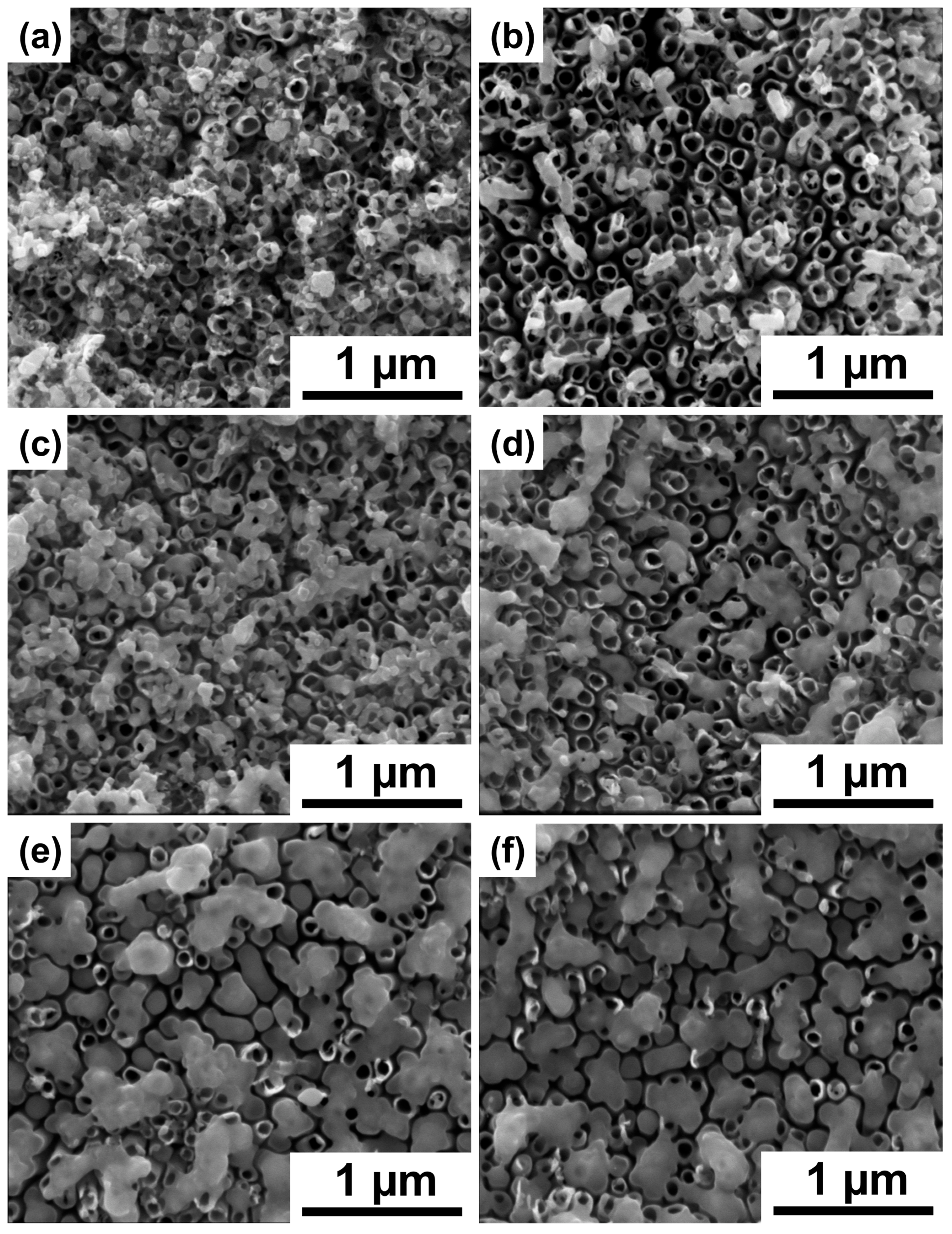 Materials 16 02572 g001