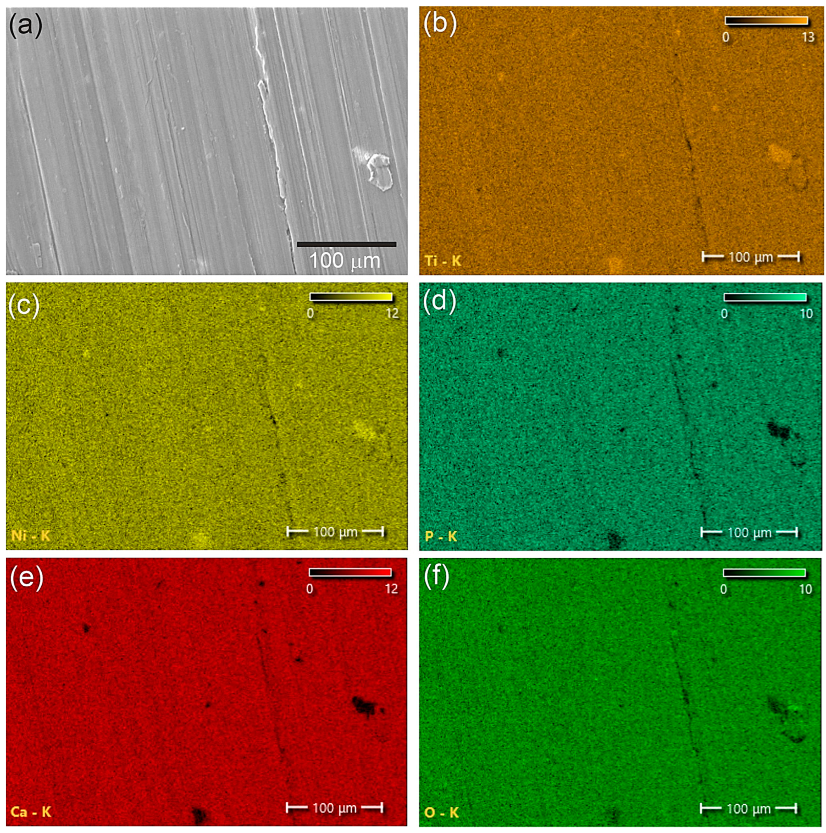 Materials 16 02581 g004