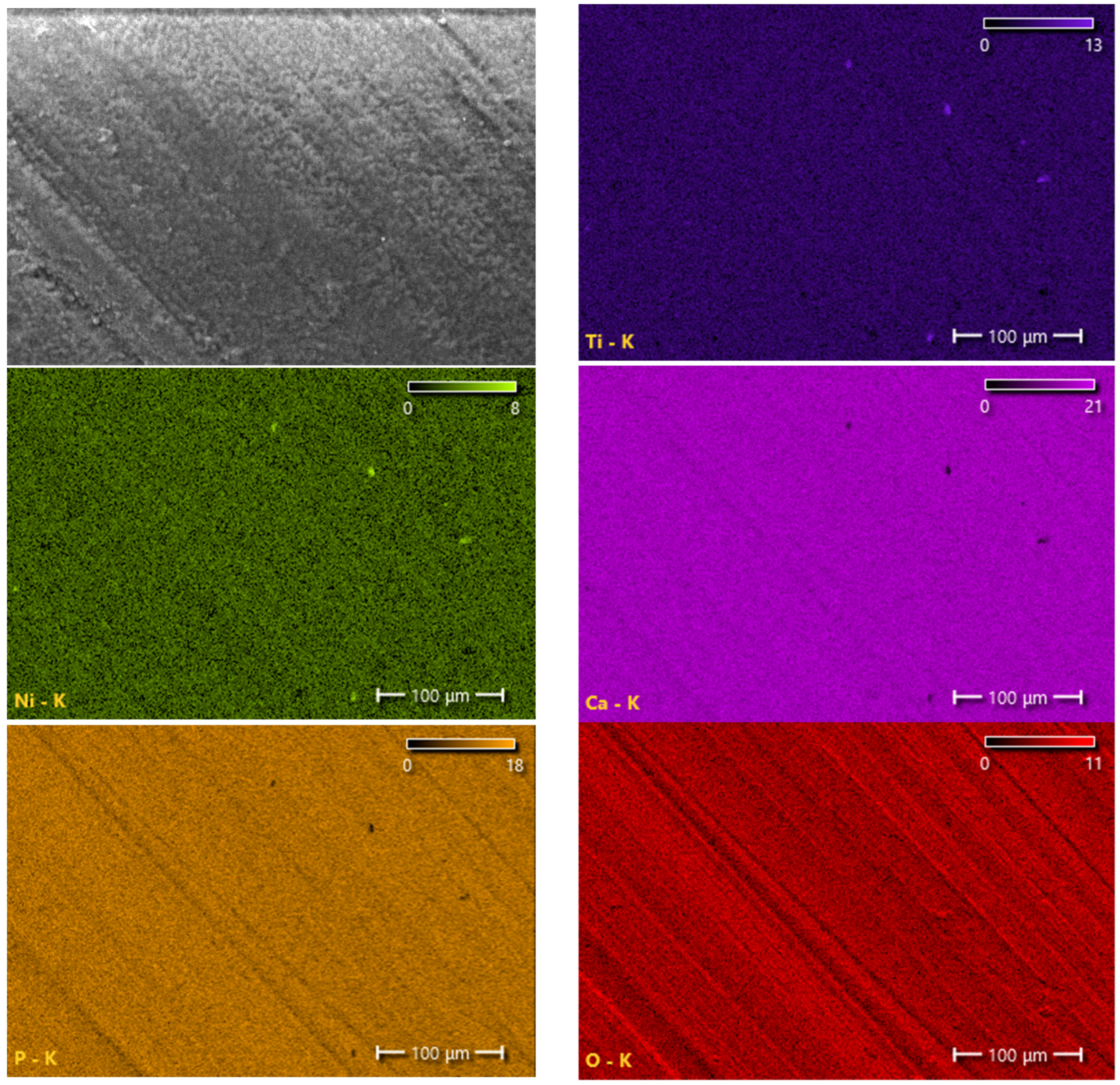 Materials 16 02581 g005