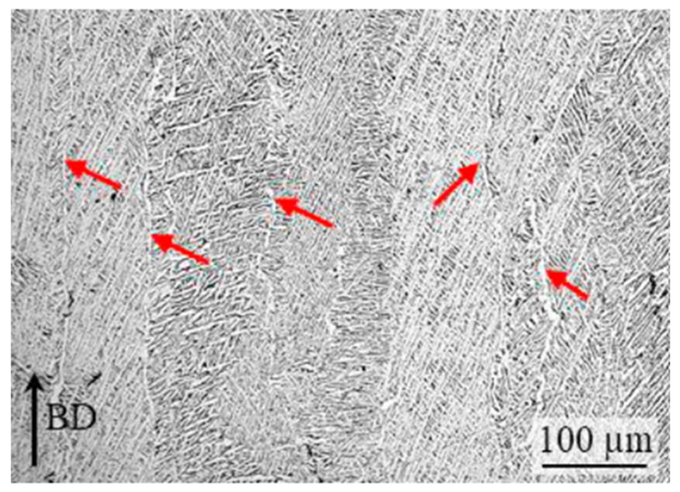 Materials 16 02583 g003