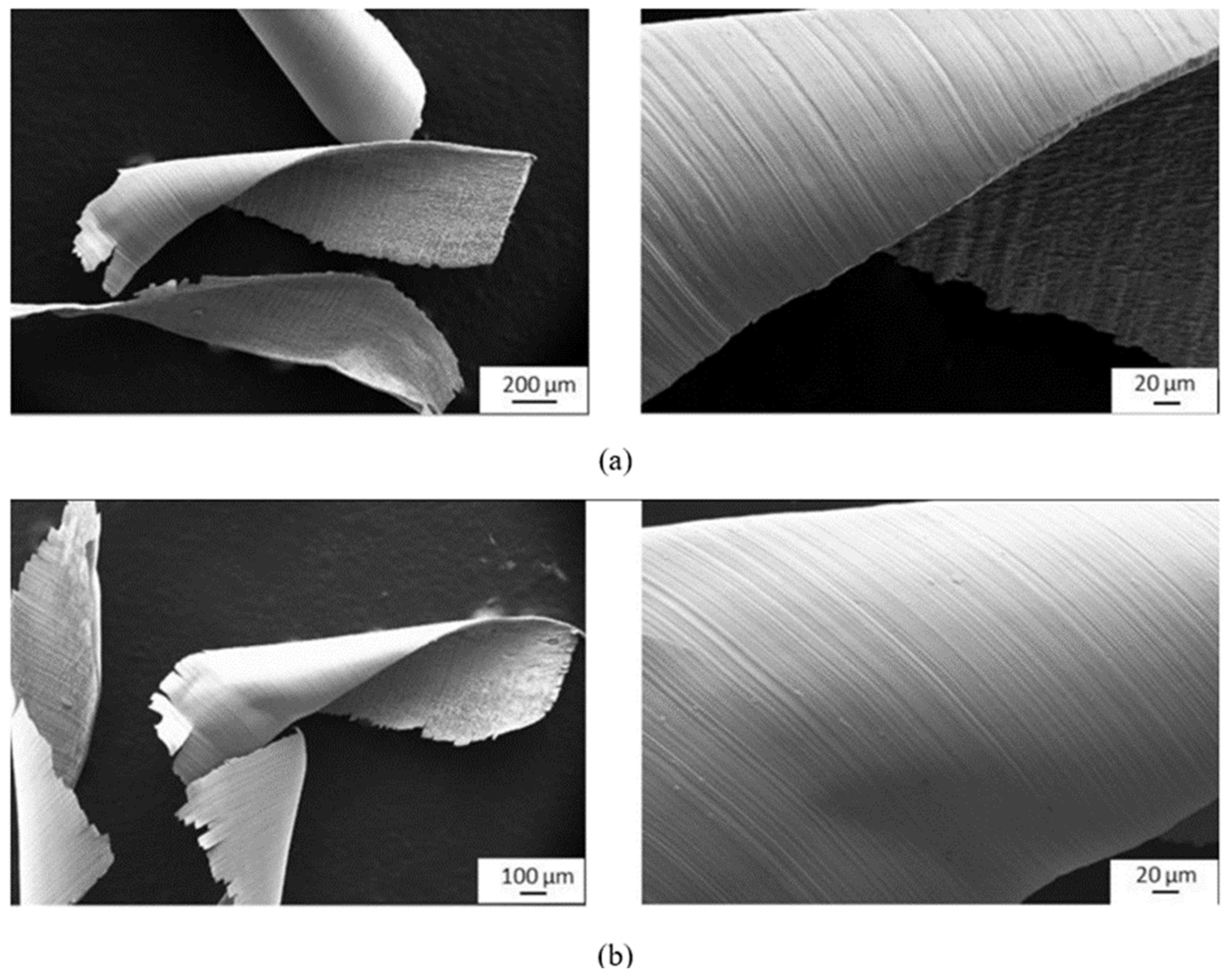 Materials 16 02583 g017