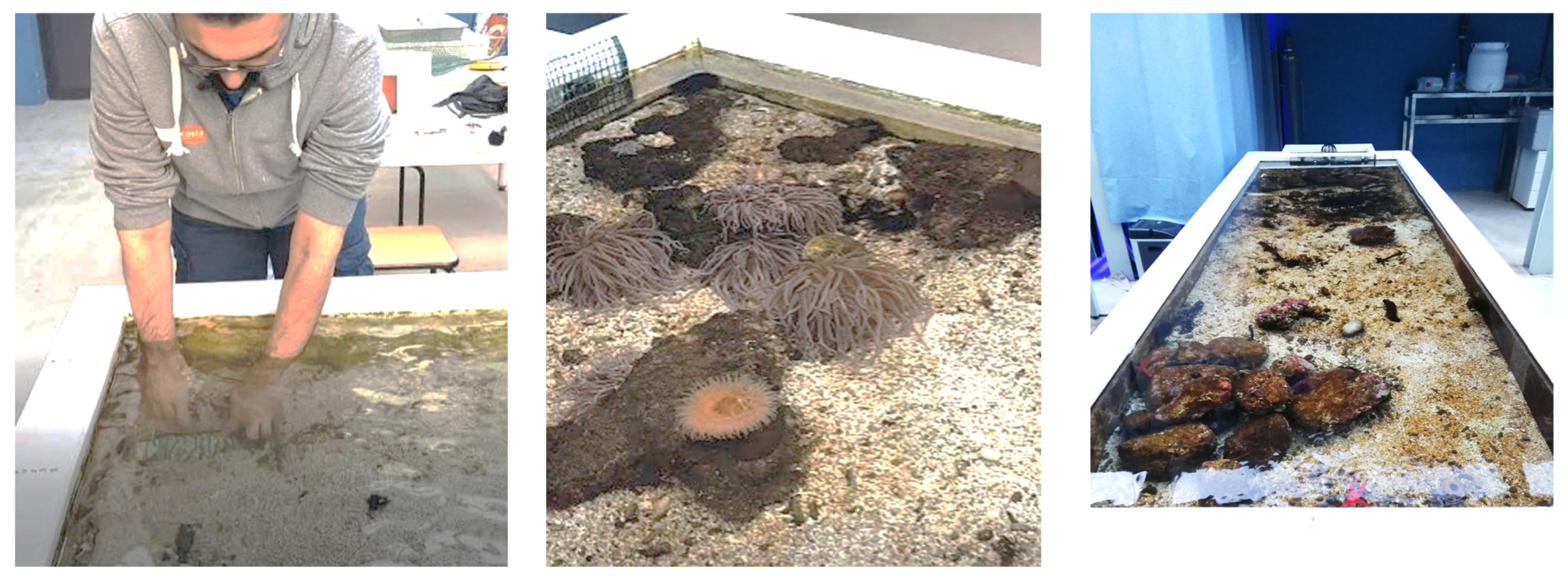 Materials 16 02593 g001 Materials 16 02593 g001