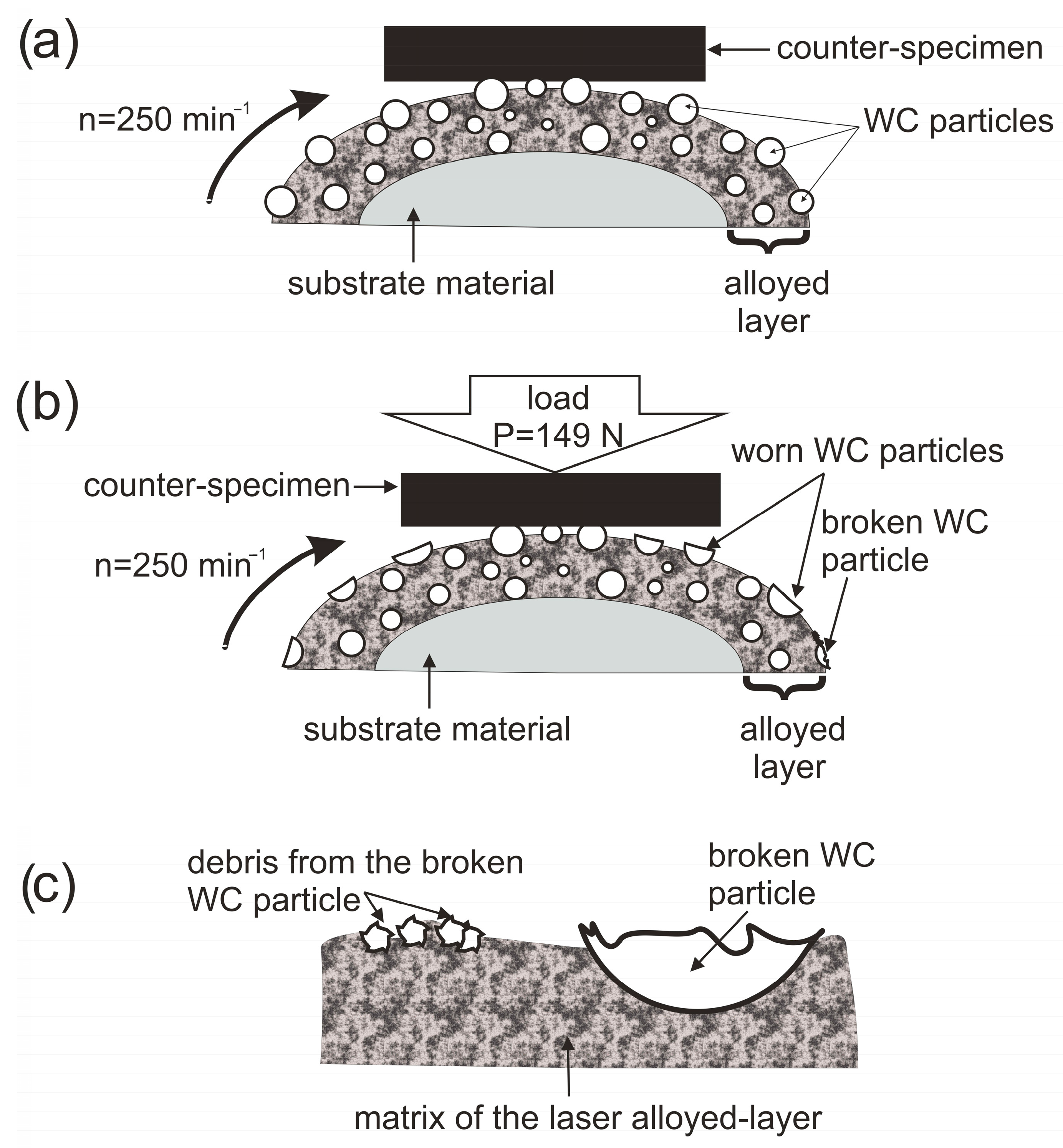 Materials 16 02619 g017