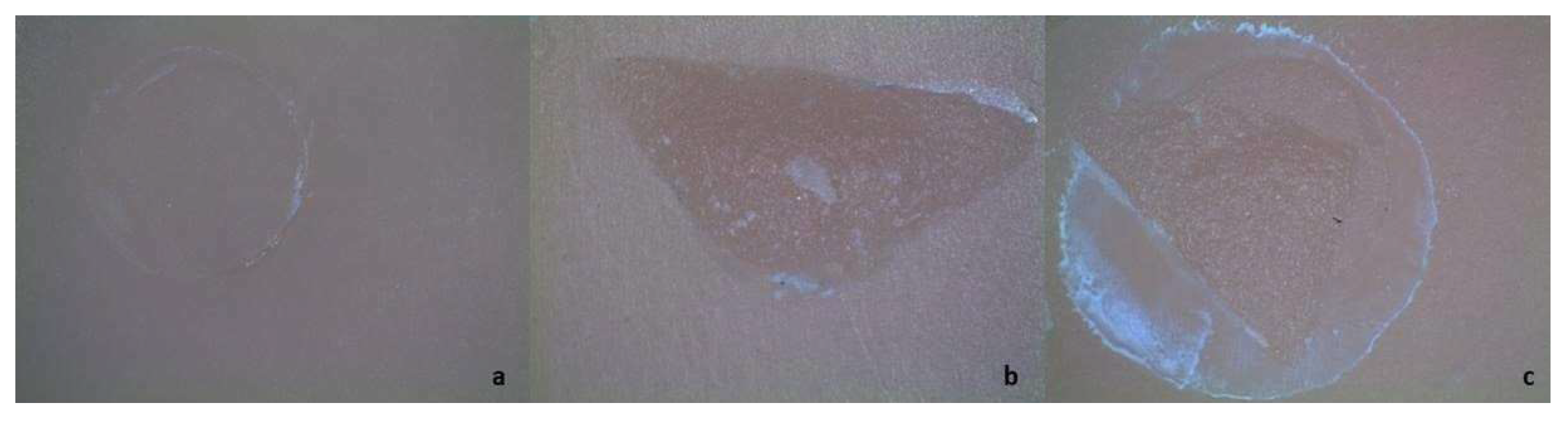 Materials 16 02635 g002 Materials 16 02635 g002