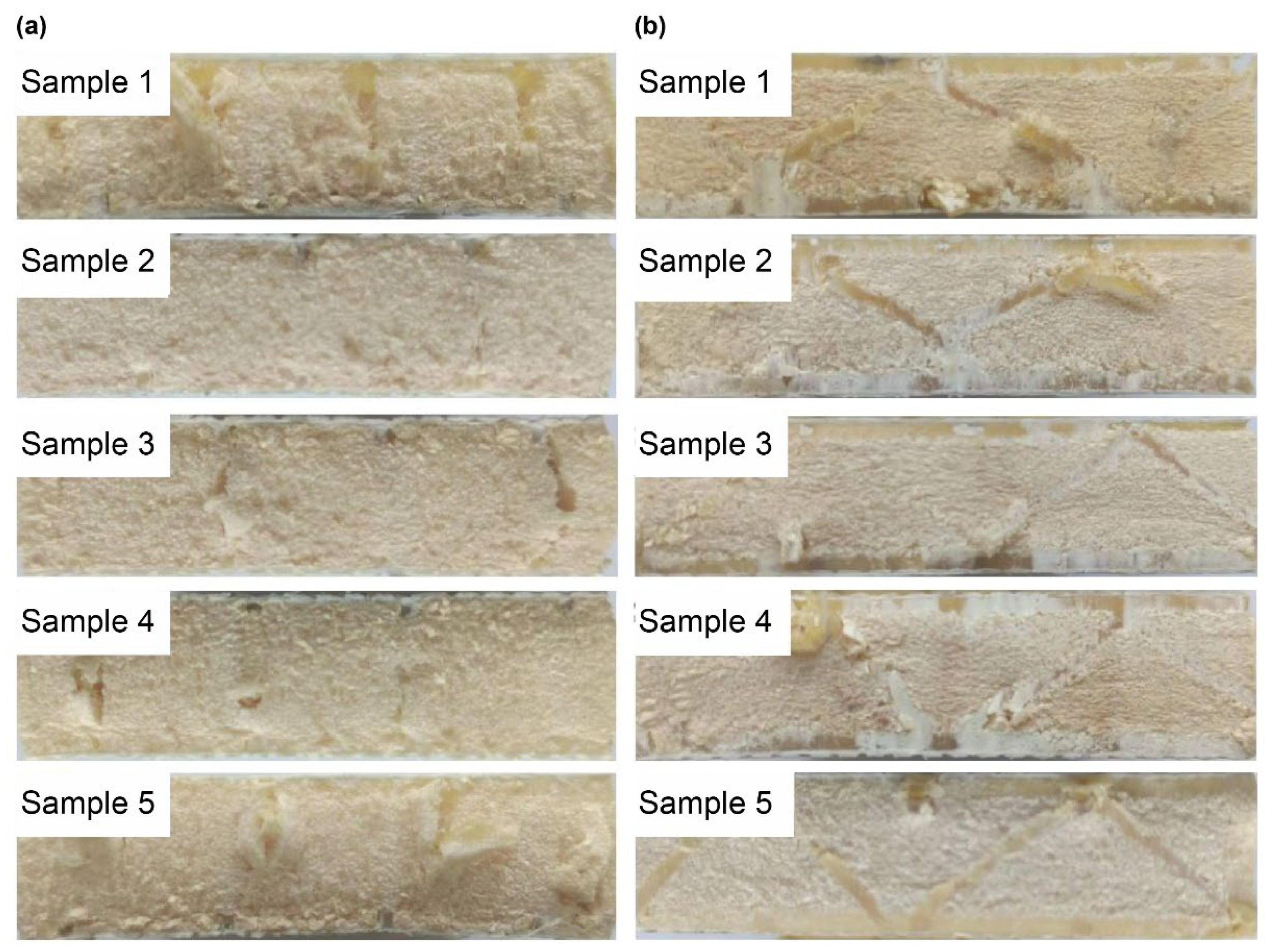 Materials 16 02729 g021